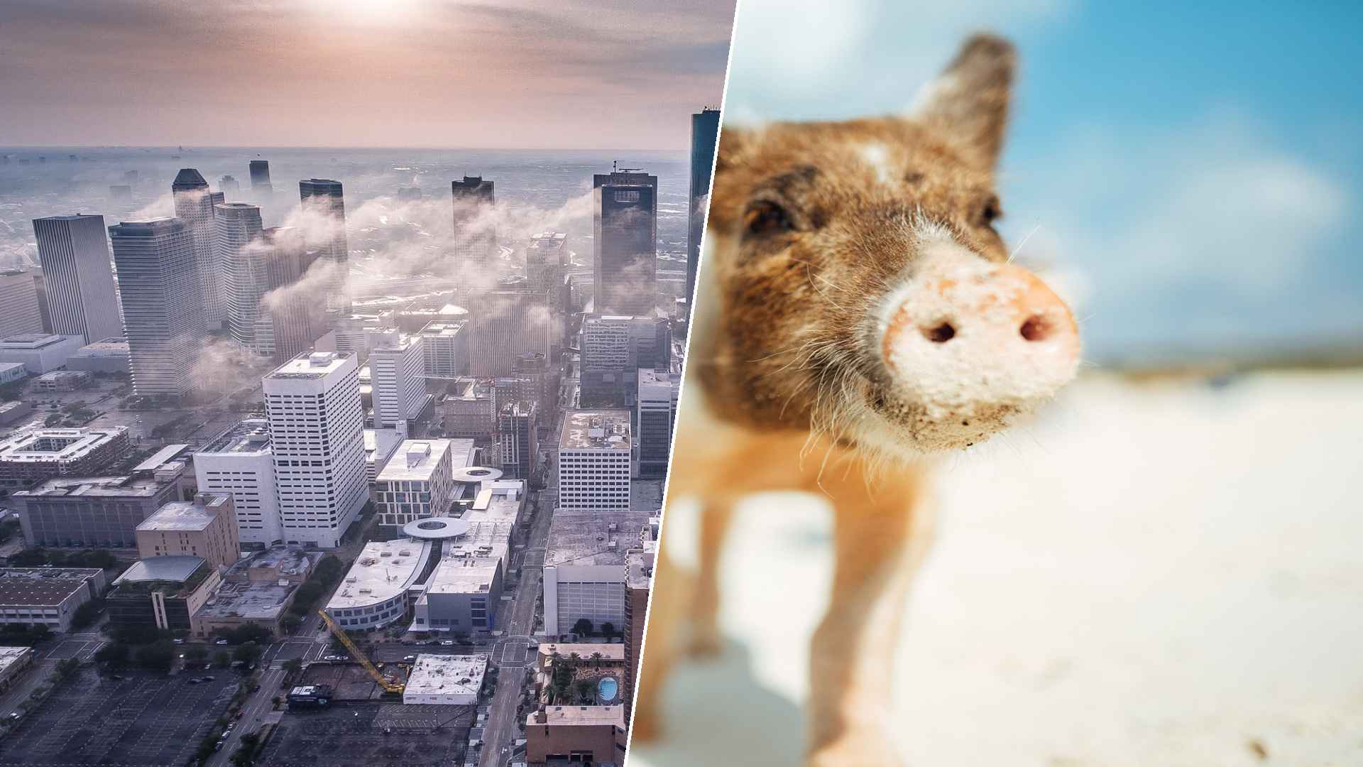 Houston to Staniel Cay