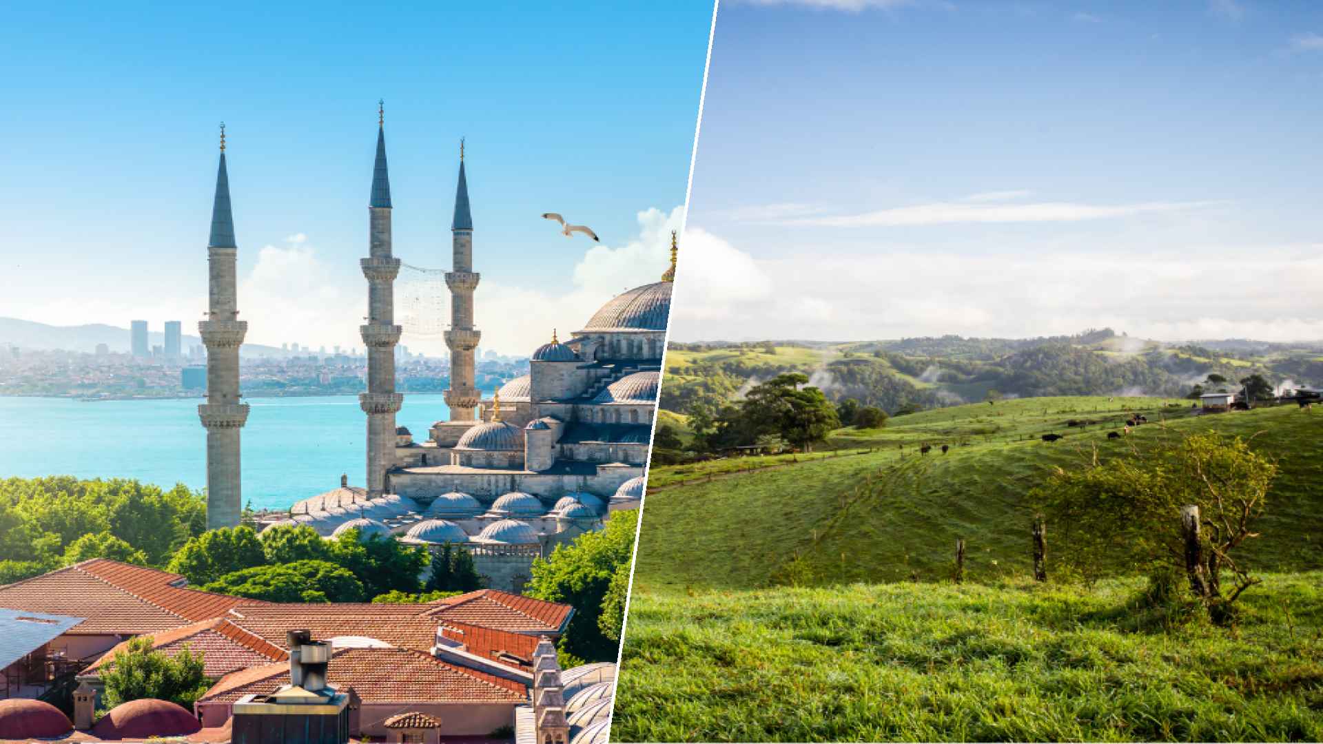 Istanbul to Atherton