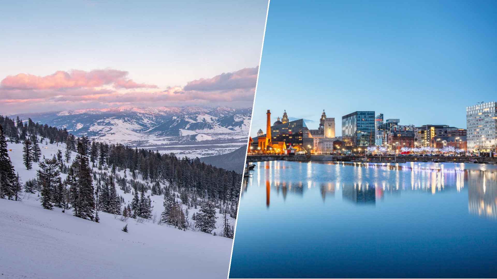 Jackson to Liverpool