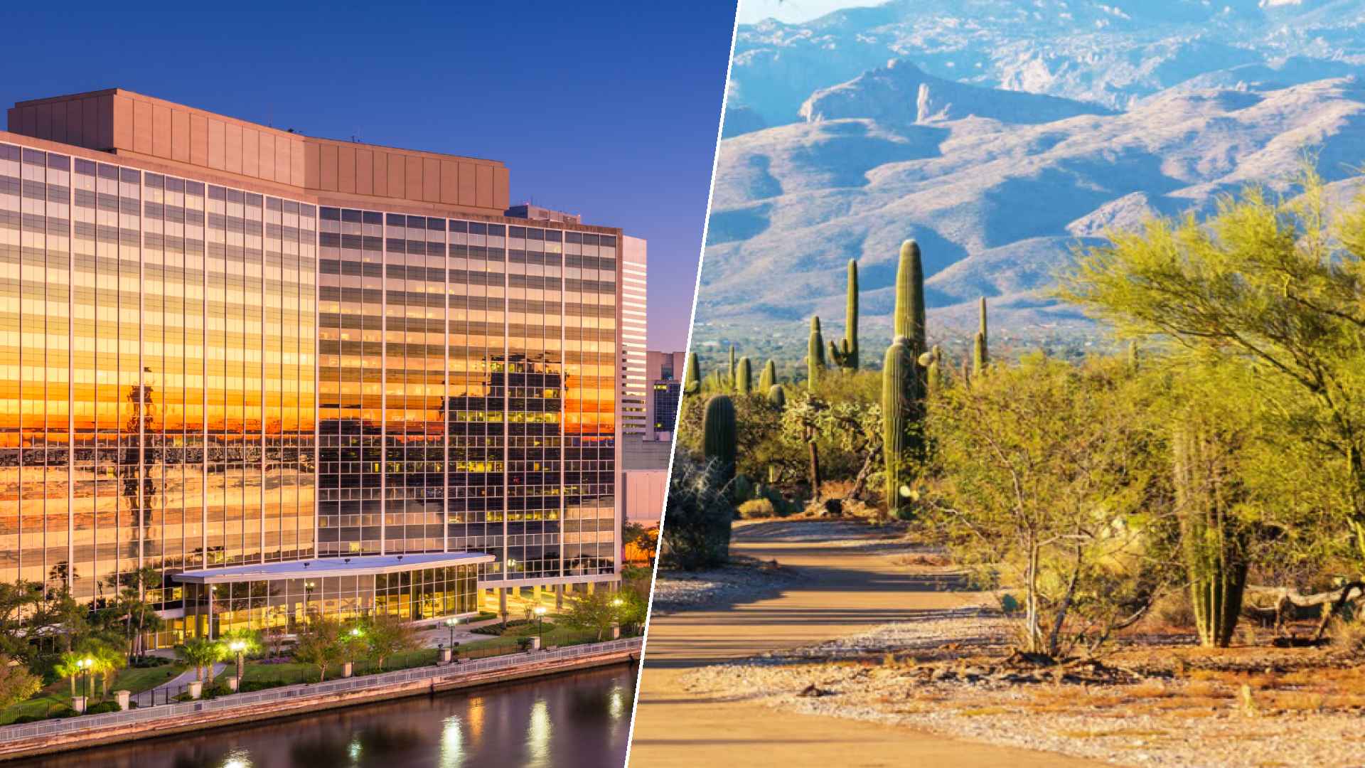 Jacksonville to Glendale