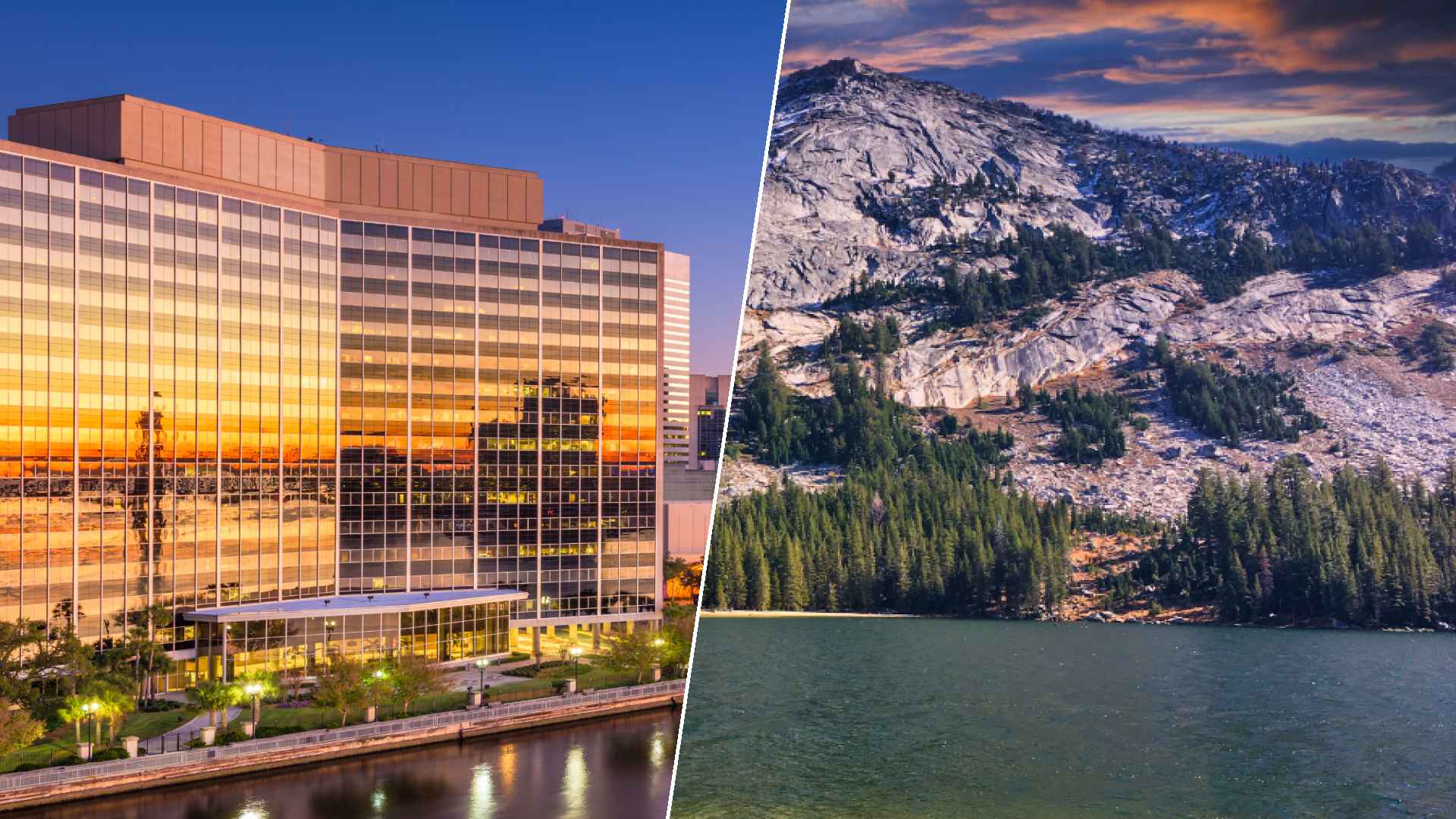 Jacksonville to Yellowstone