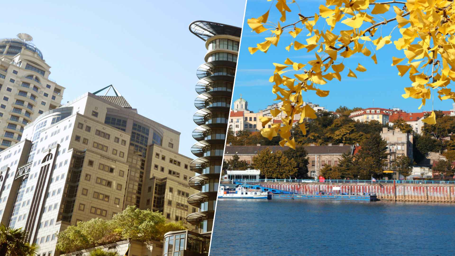 Johannesburg to Belgrade