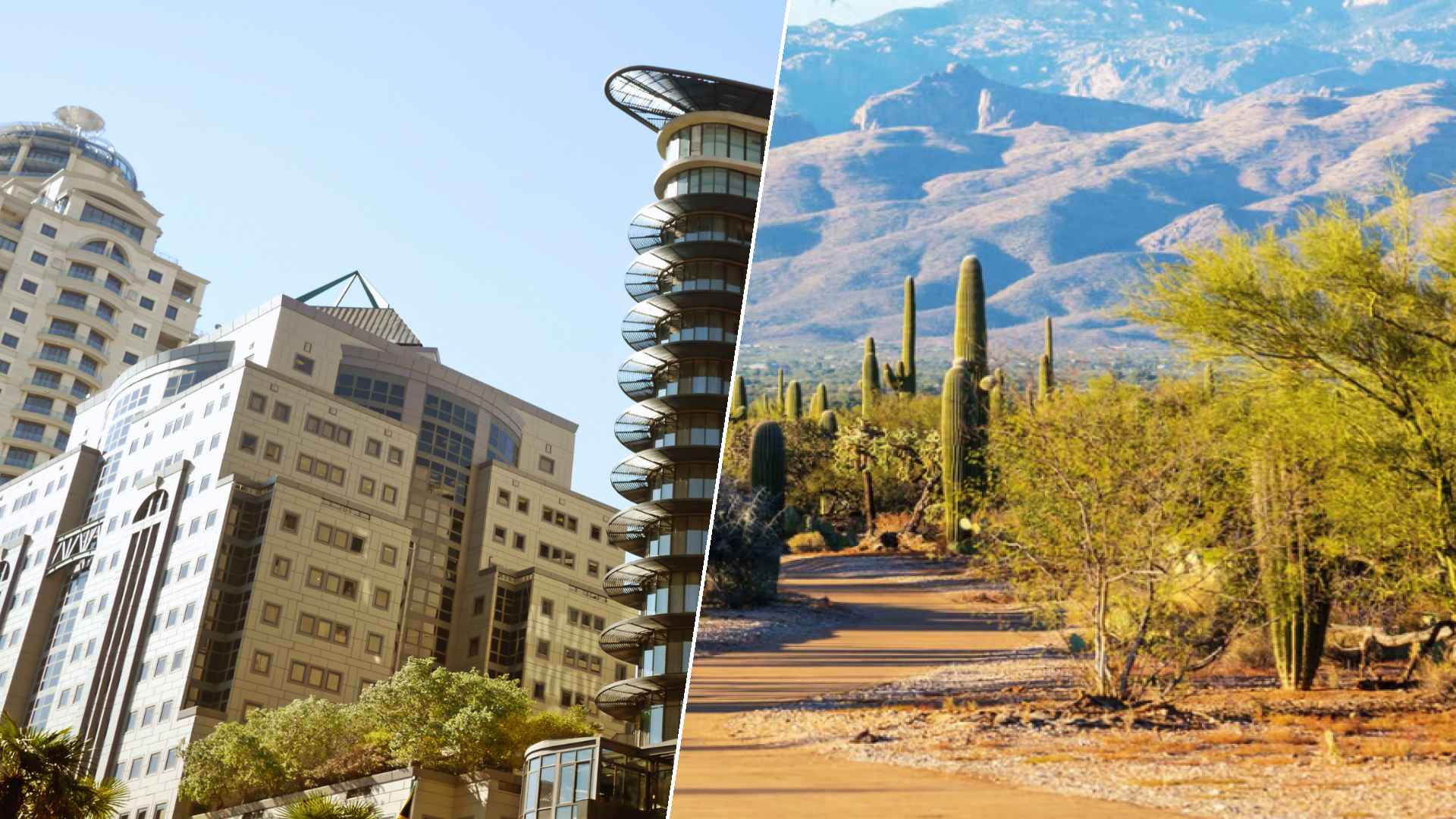 Johannesburg to Glendale