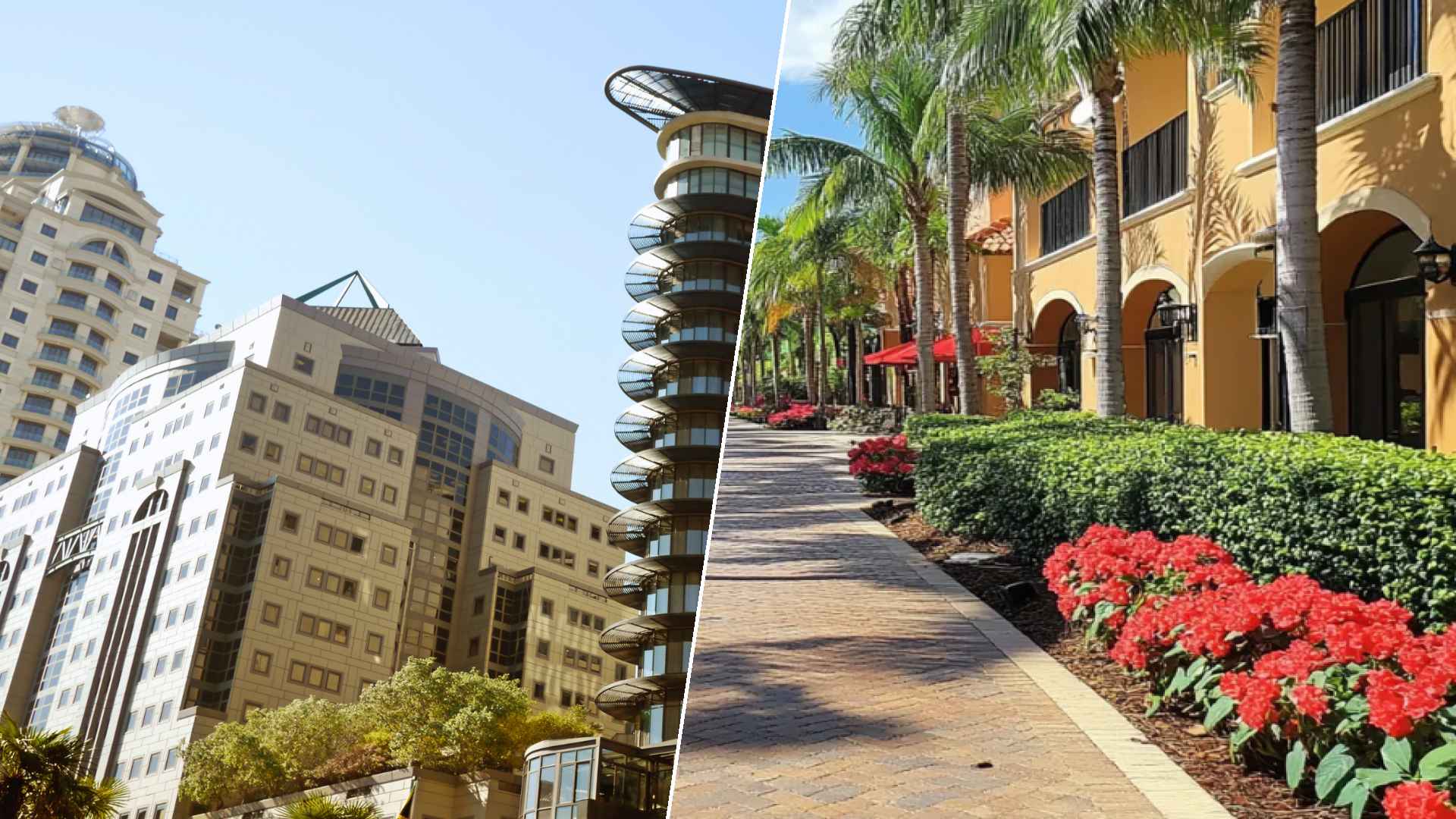 Johannesburg to Hialeah