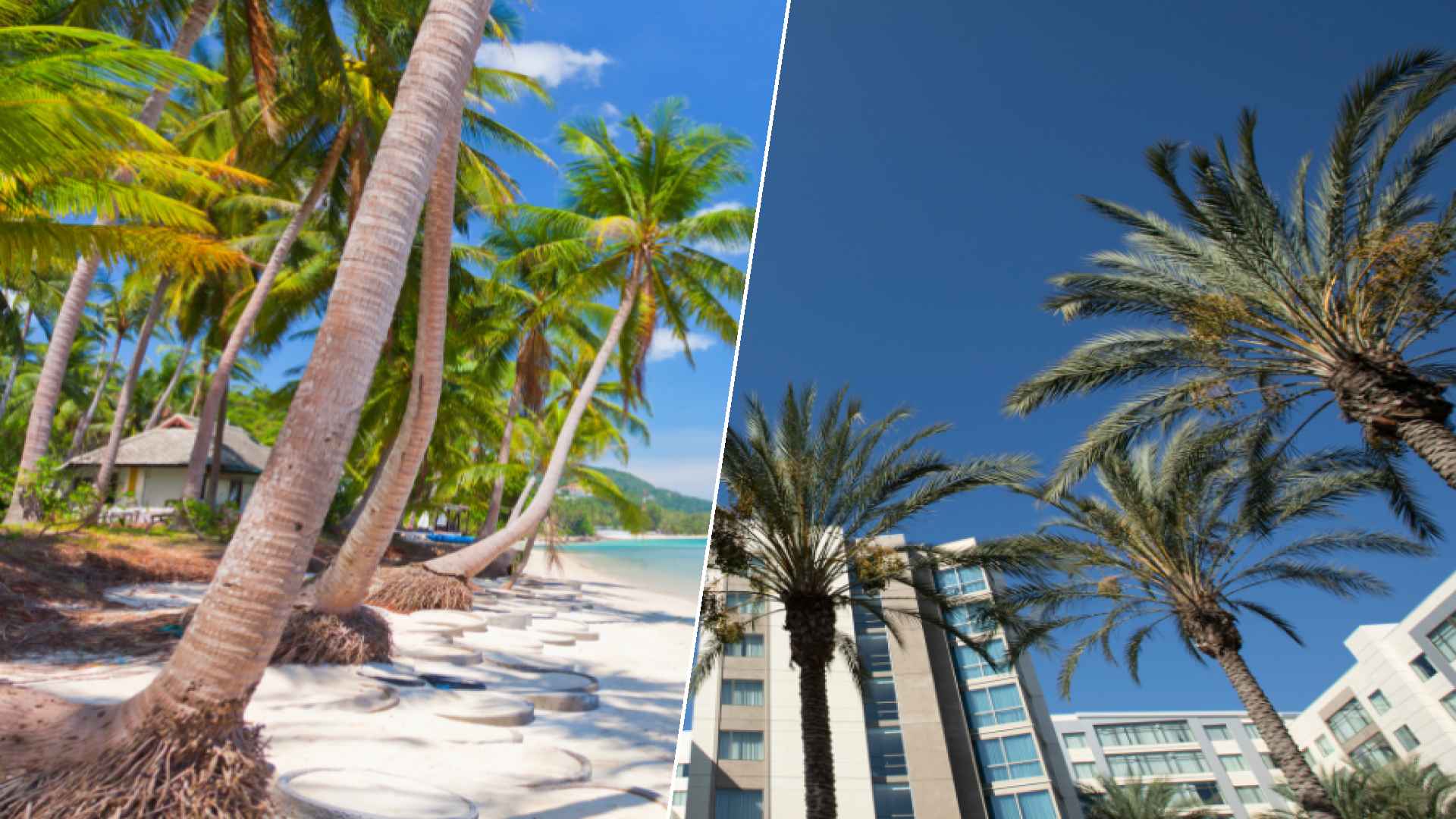 Koh Samui to Anaheim