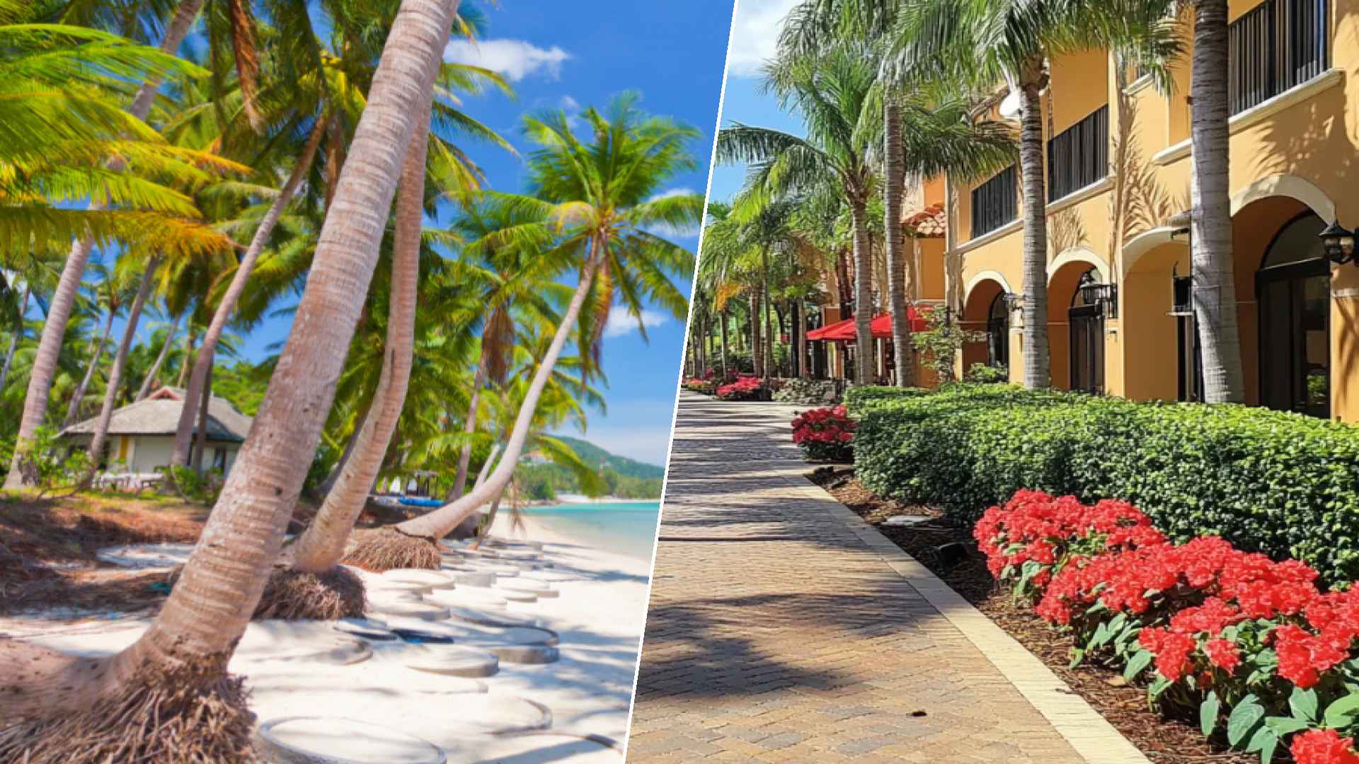 Koh Samui to Hialeah