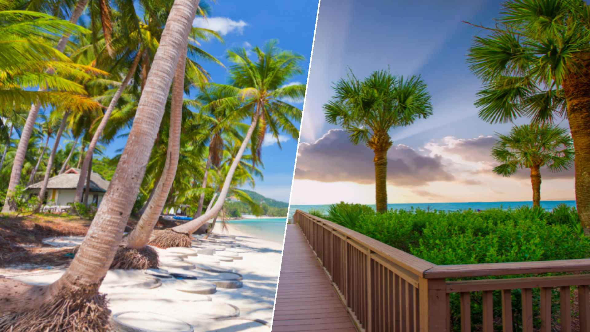 Koh Samui to Hilton Head Island