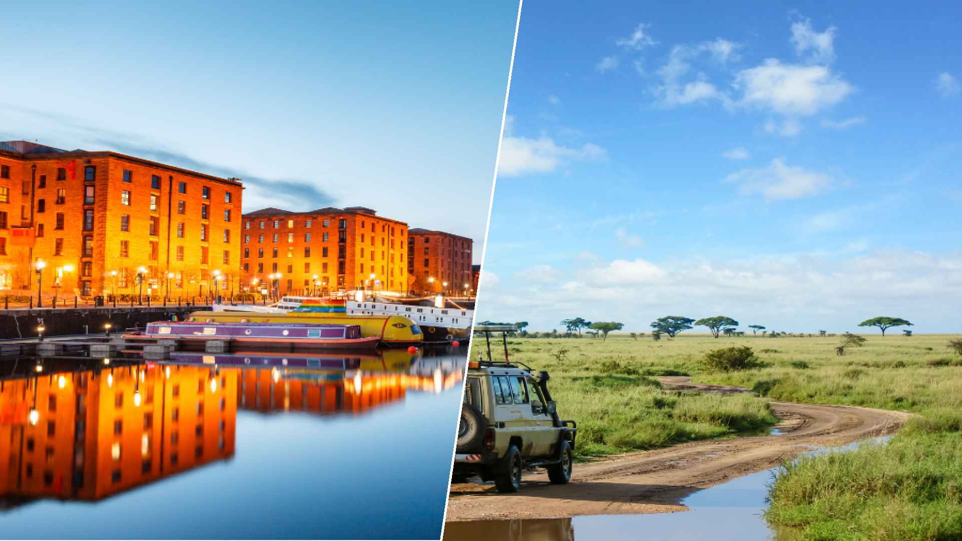 Liverpool to Serengeti