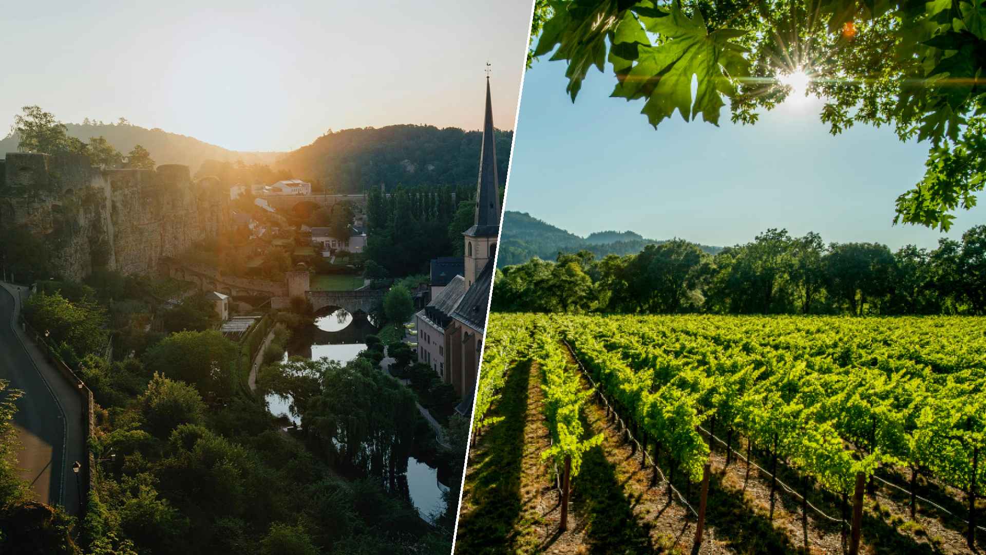 Luxembourg City to Napa