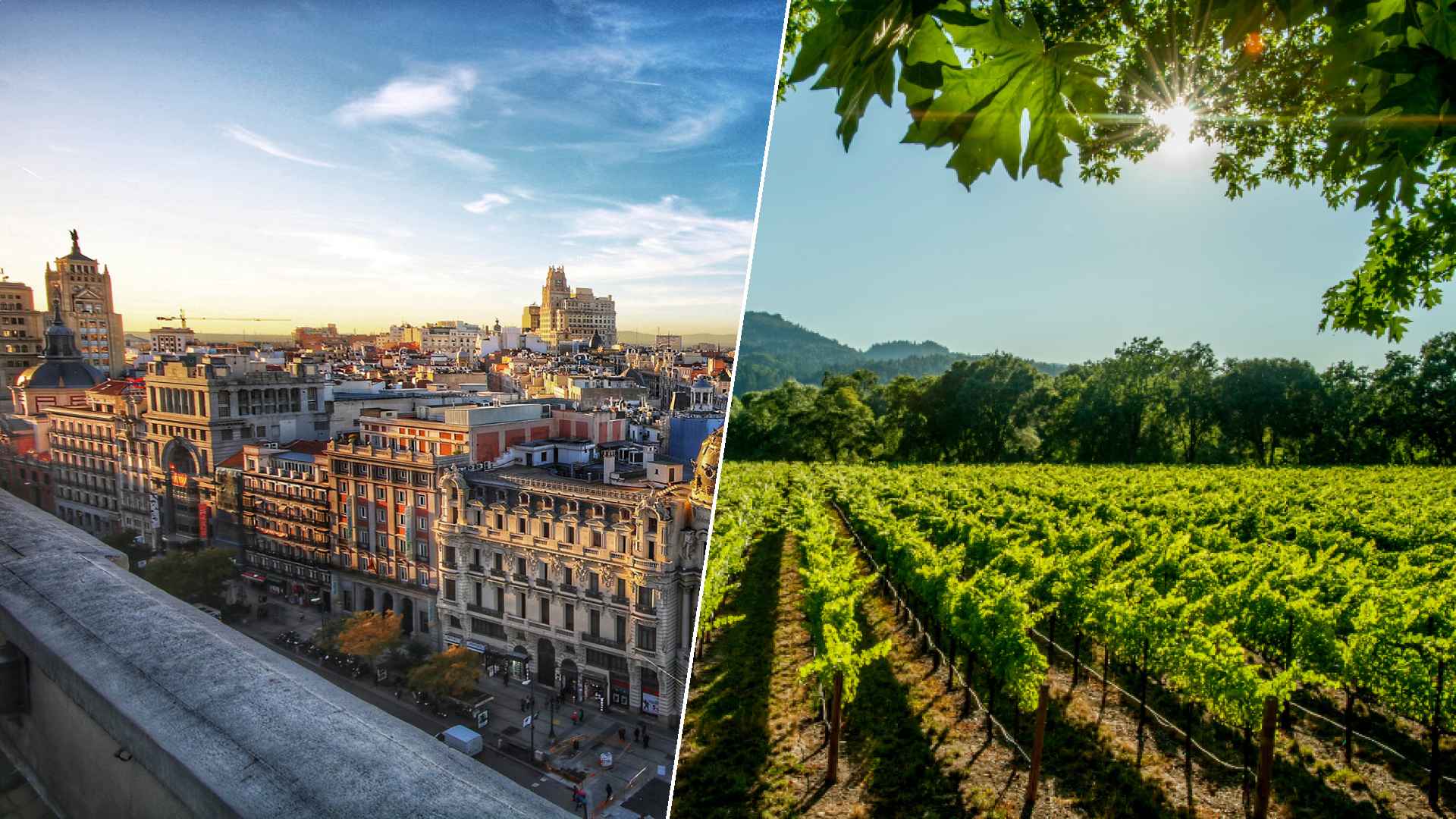 Madrid to Napa