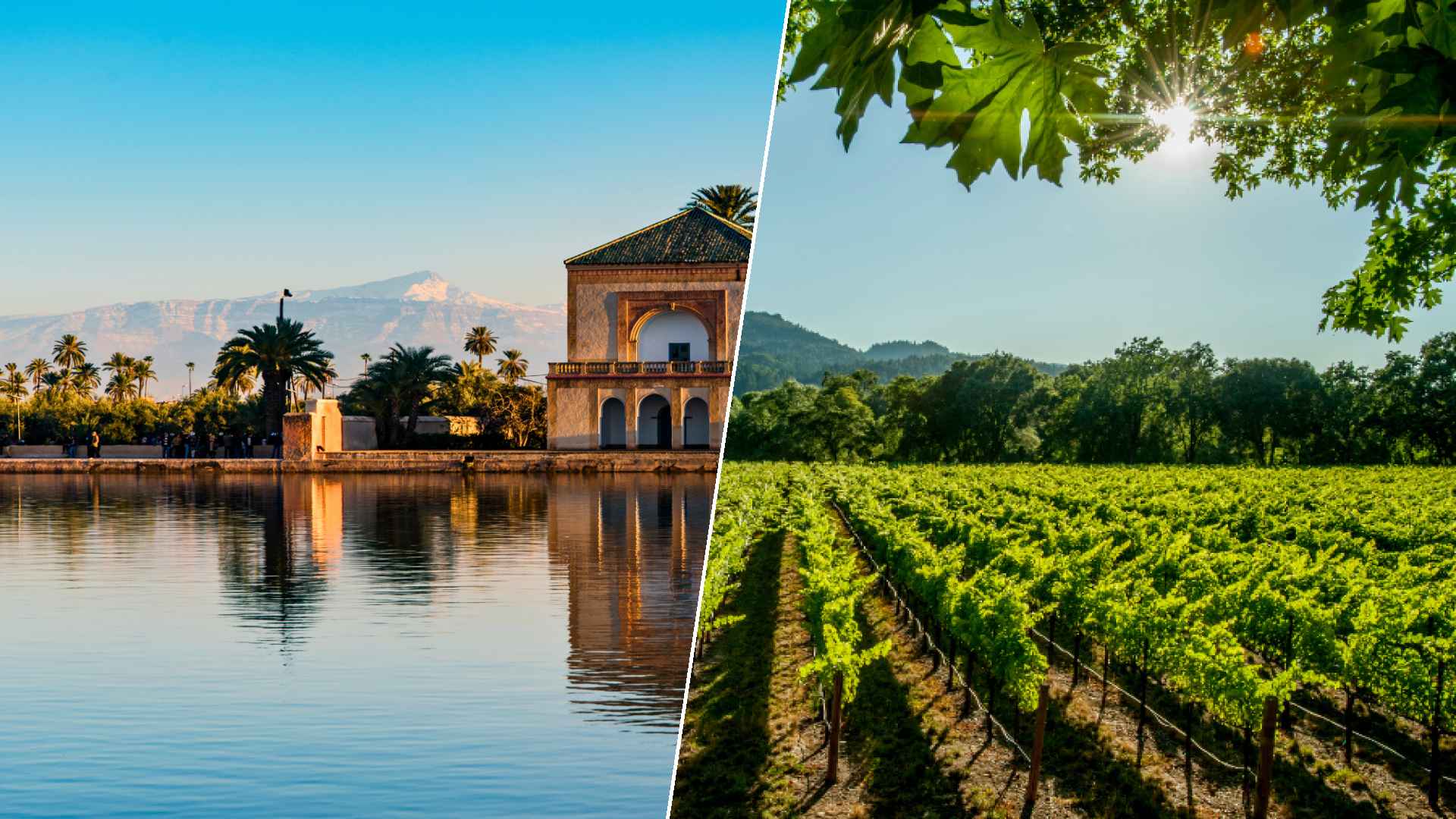Marrakech to Napa
