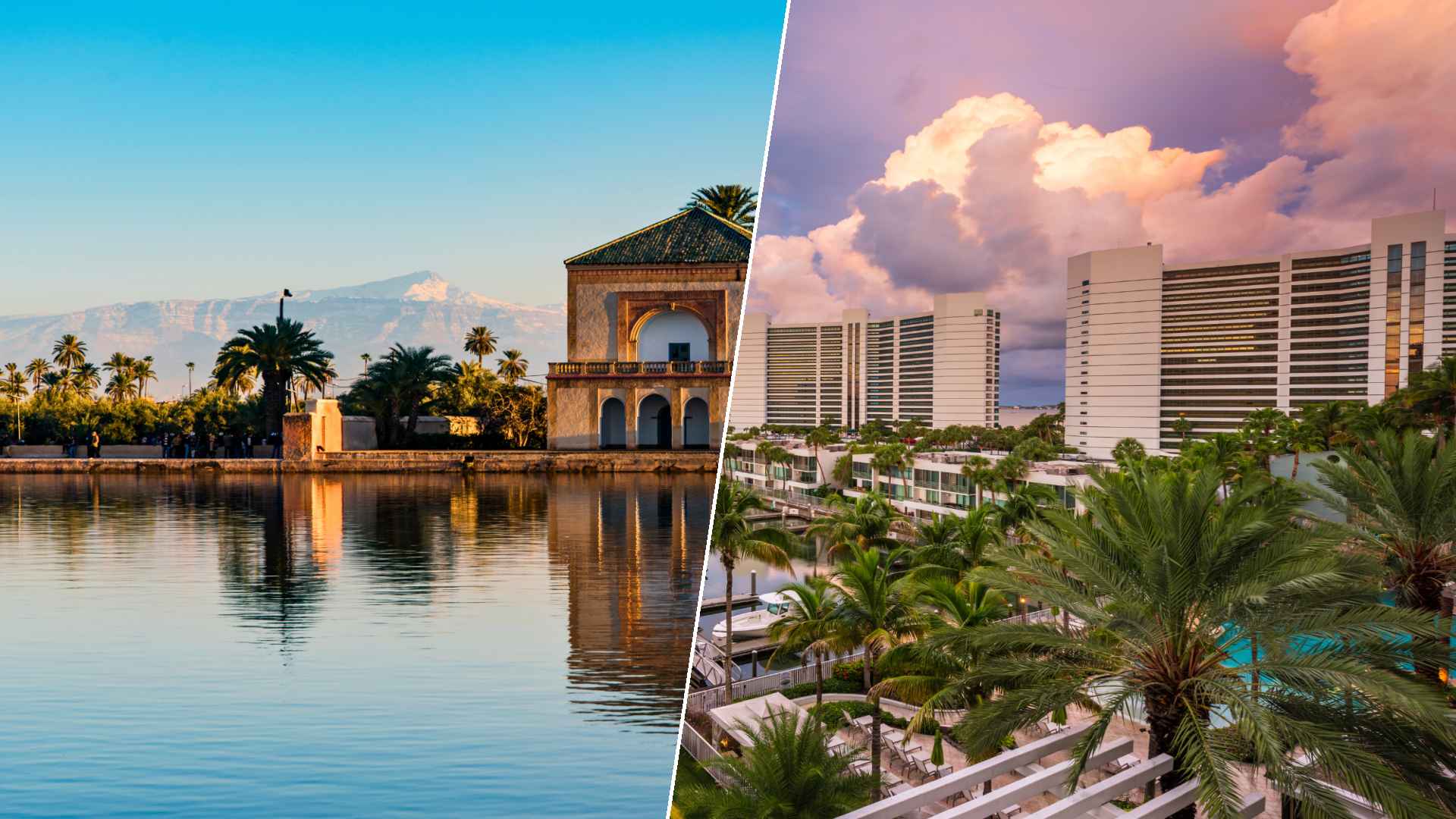 Marrakech to Sarasota
