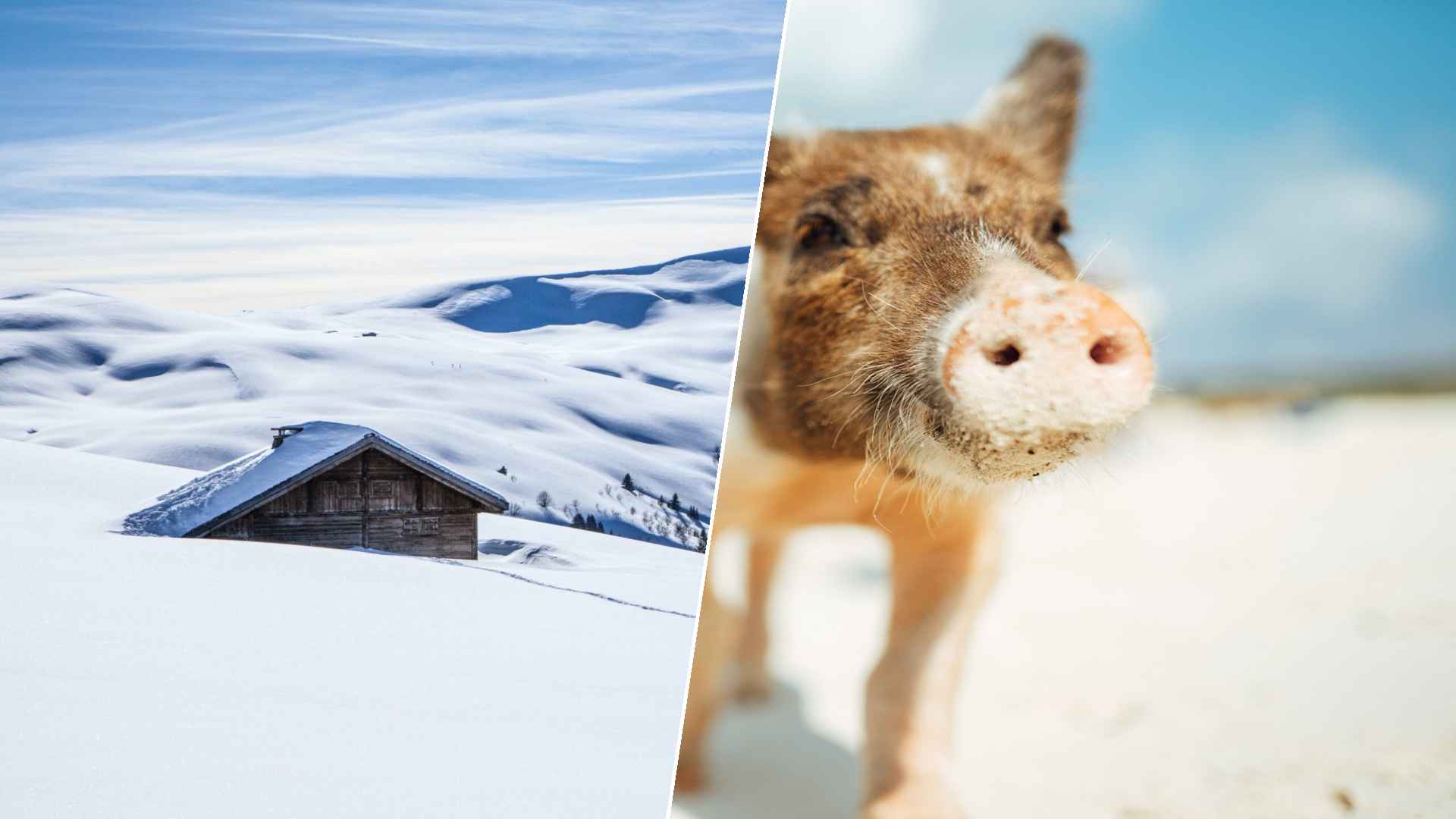 Megève to Staniel Cay