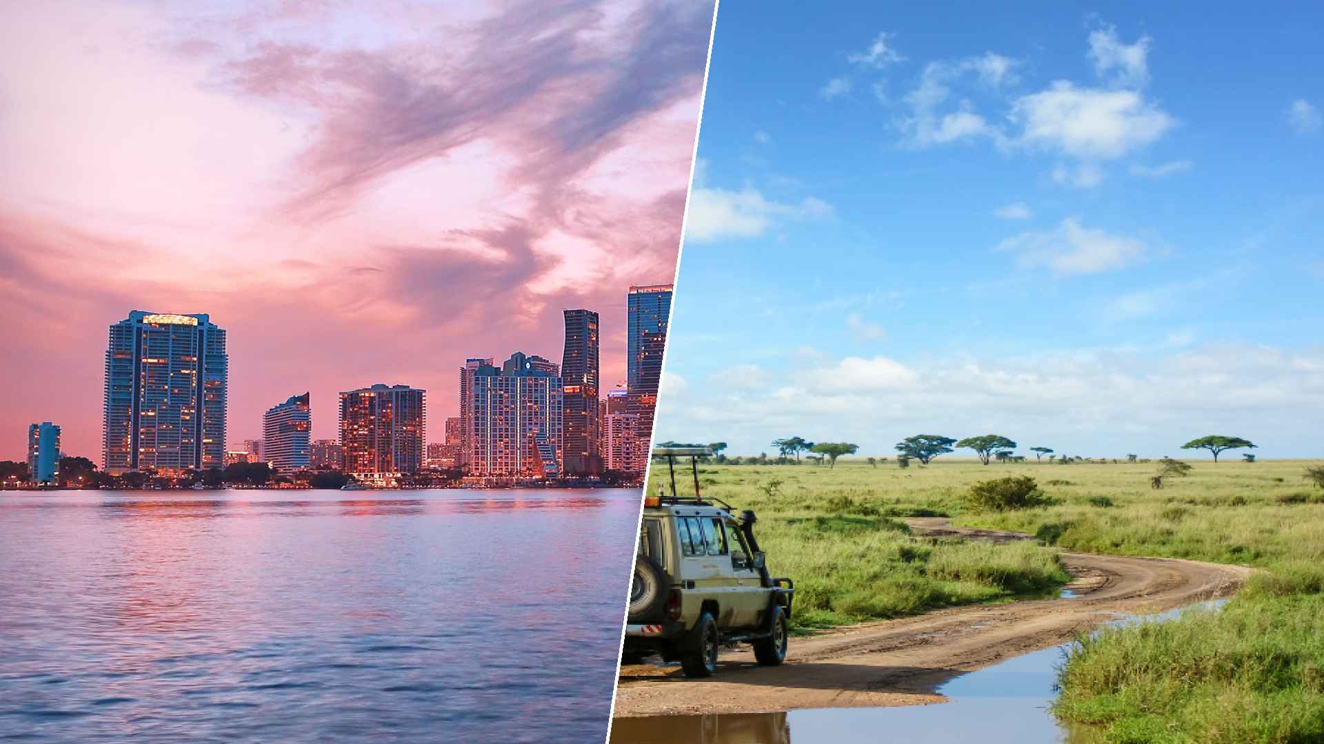 Miami to Serengeti
