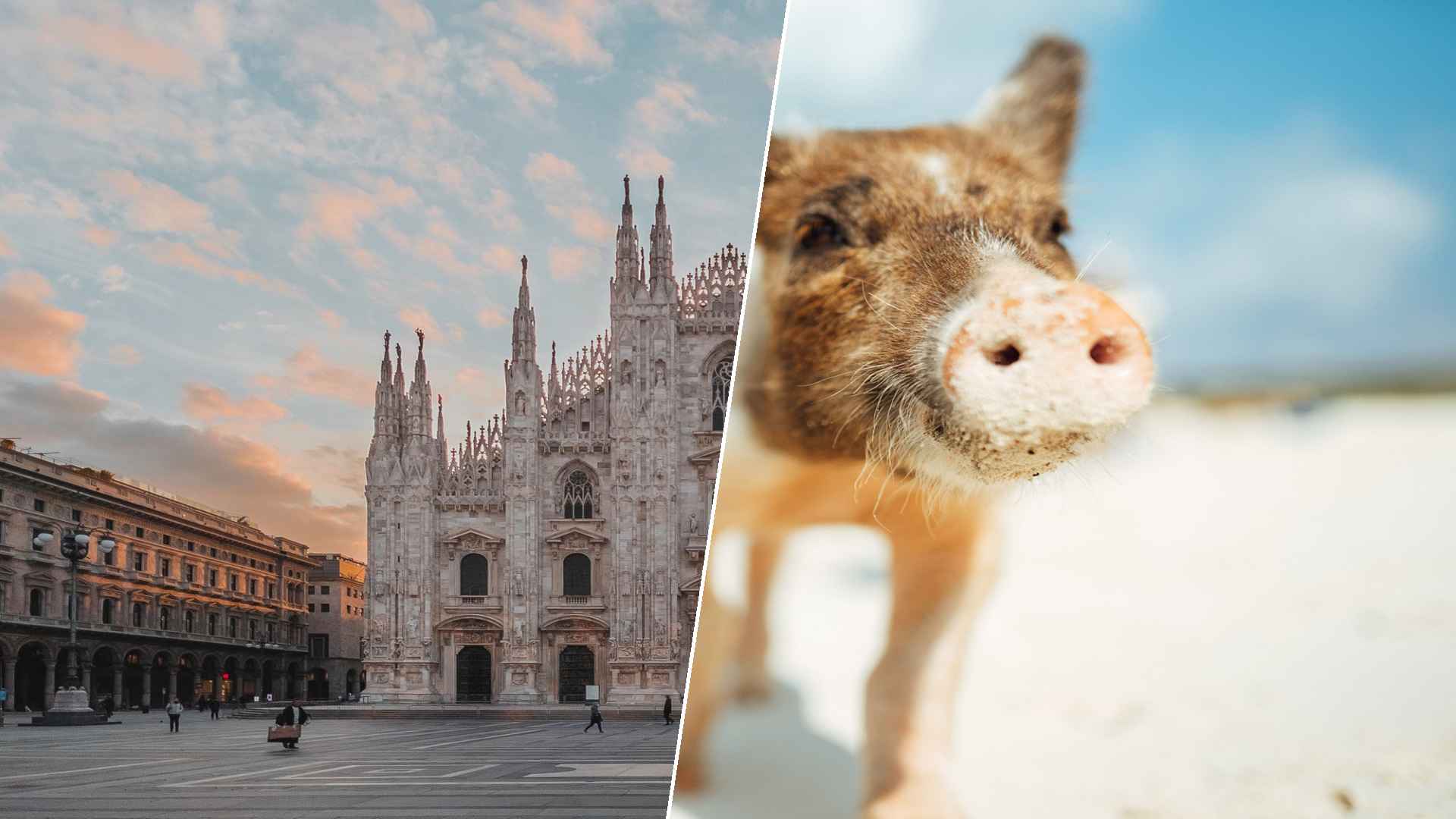 Milan to Staniel Cay