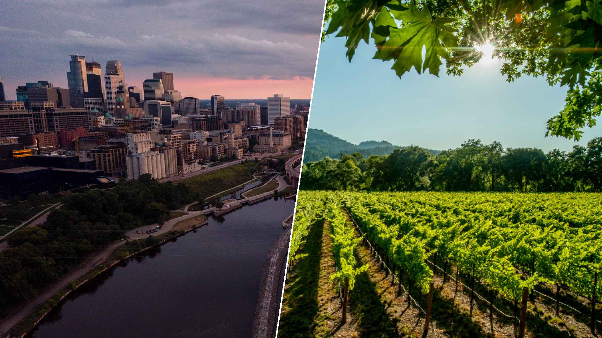 Minneapolis to Napa
