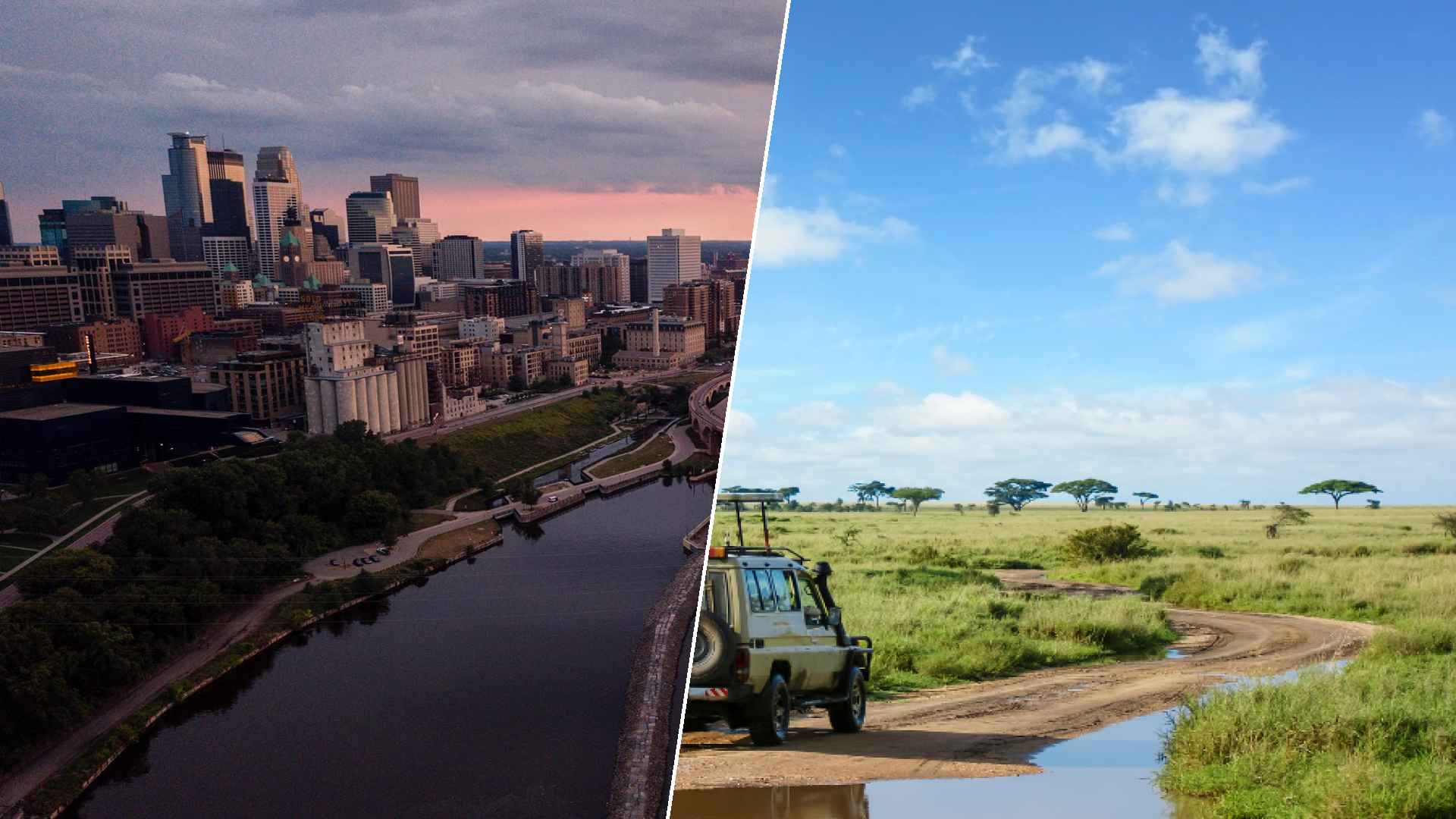 Minneapolis to Serengeti