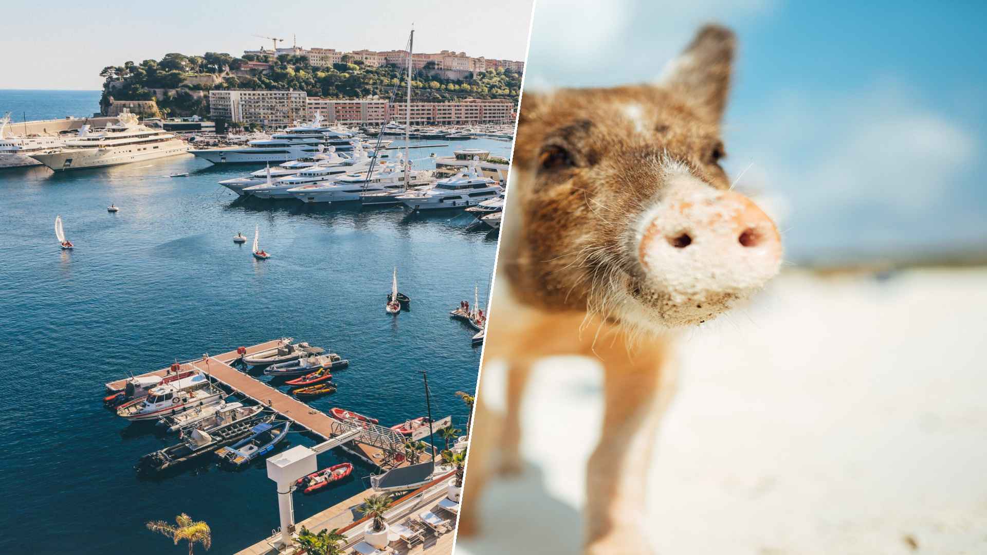 Monaco to Staniel Cay