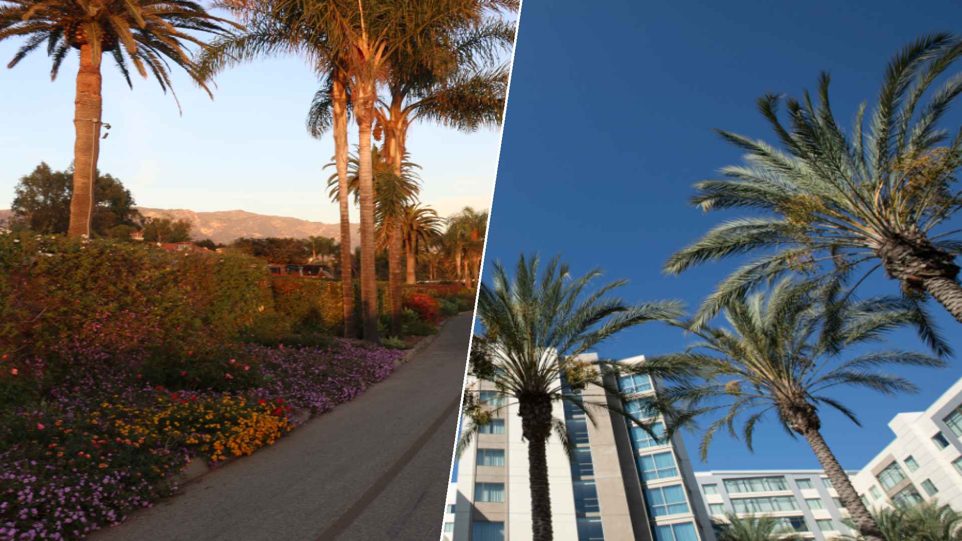 Montecito to Anaheim