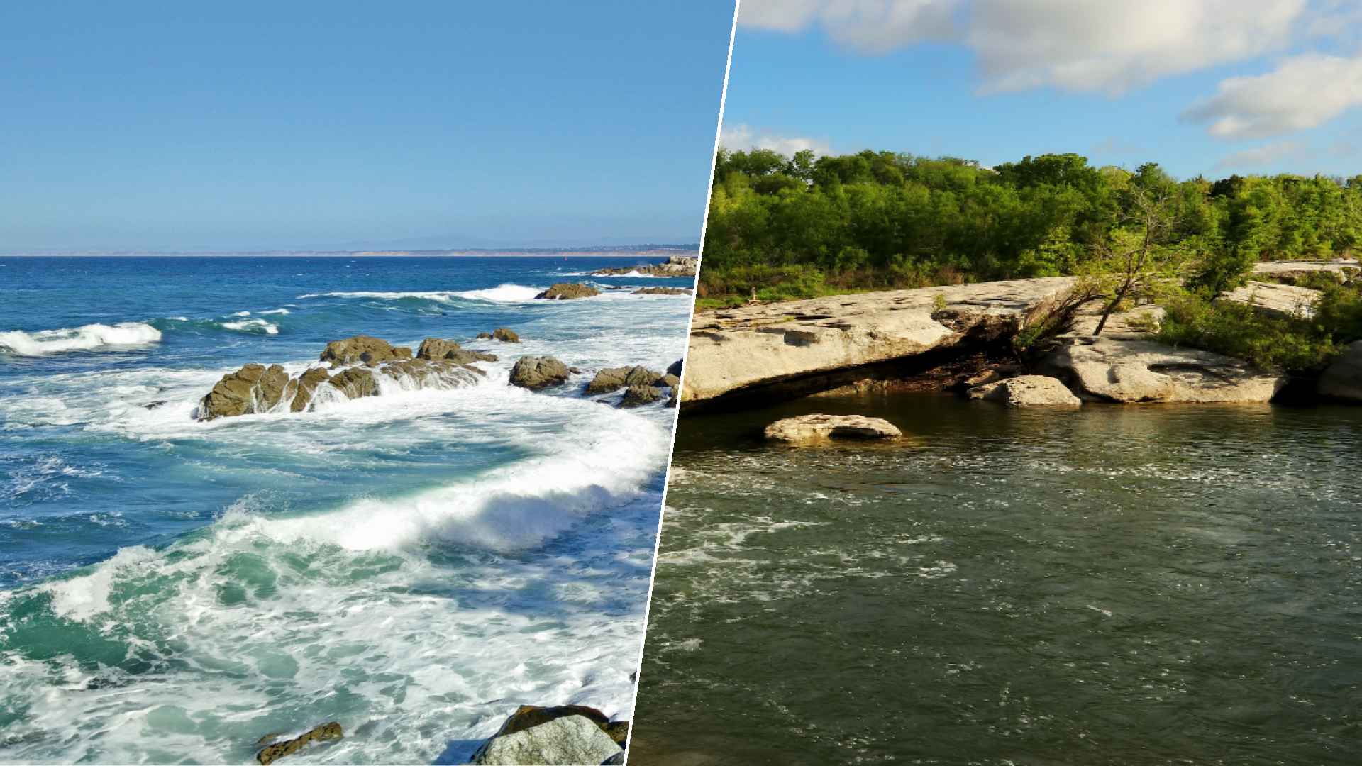 Monterey to McKinney