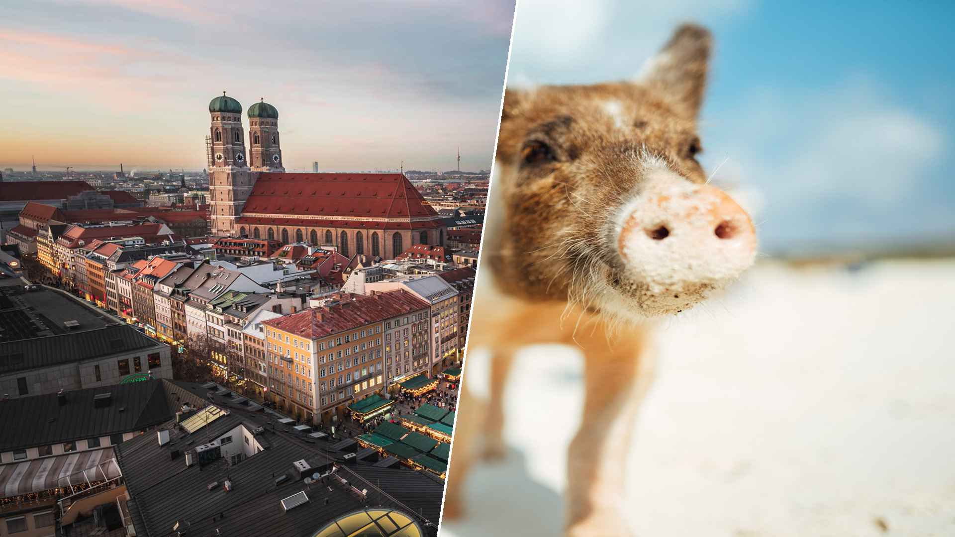 Munich to Staniel Cay