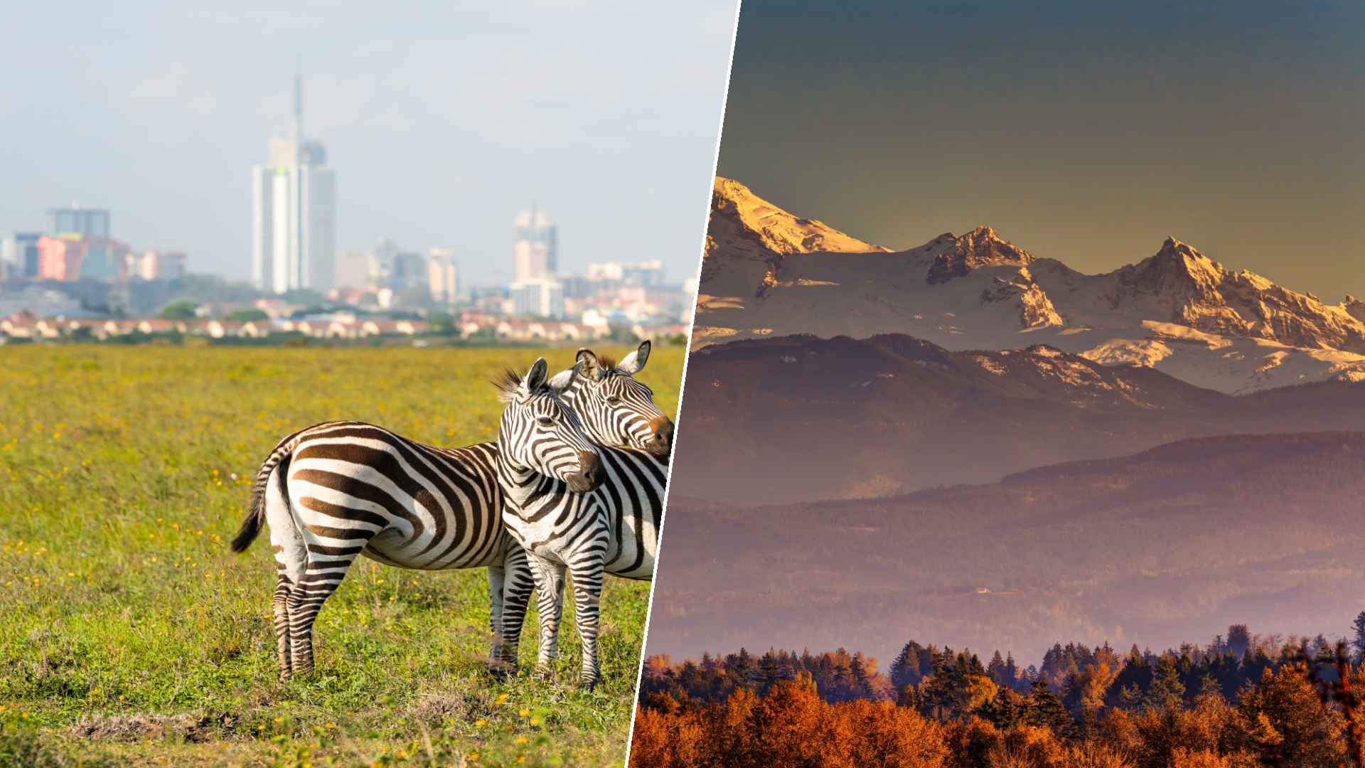 Nairobi to Abbotsford