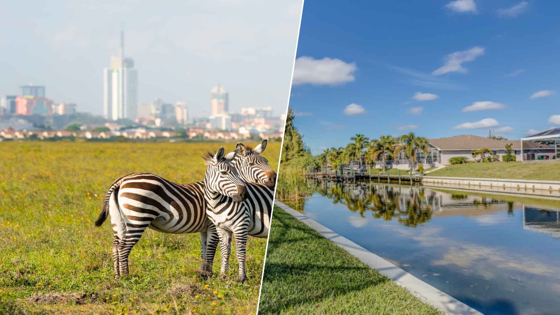 Nairobi to Cape Coral