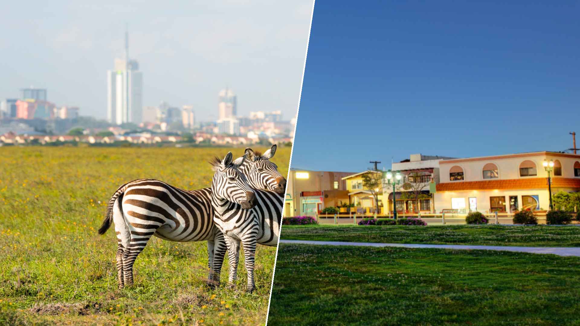 Nairobi to Chula Vista