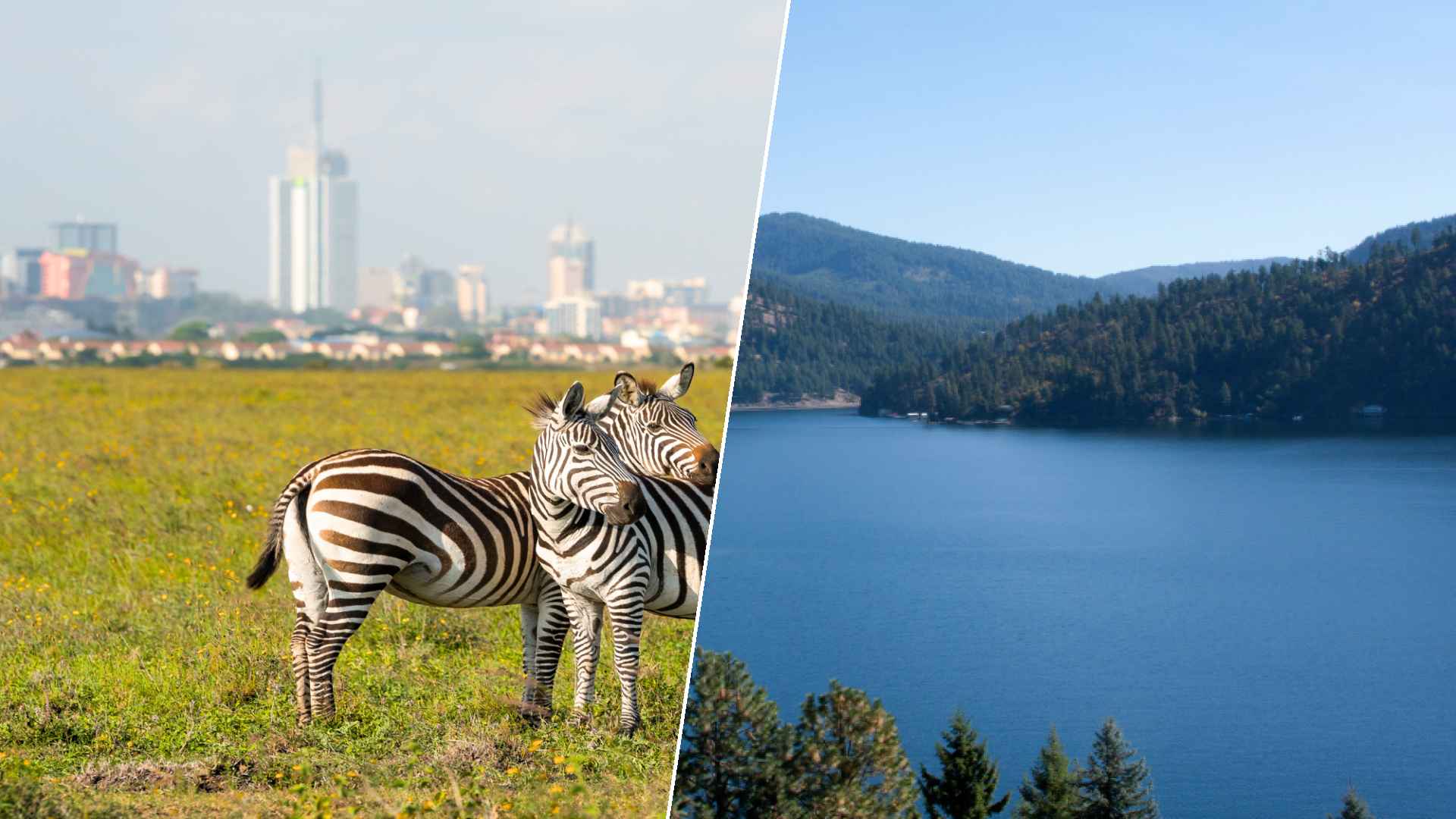 Nairobi to Coeur d’Alene