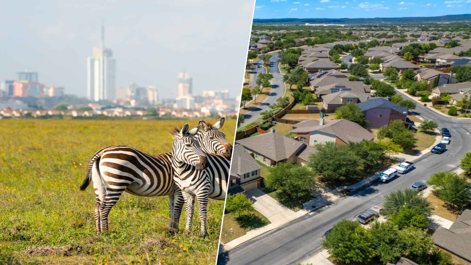 Nairobi to Grand Prairie