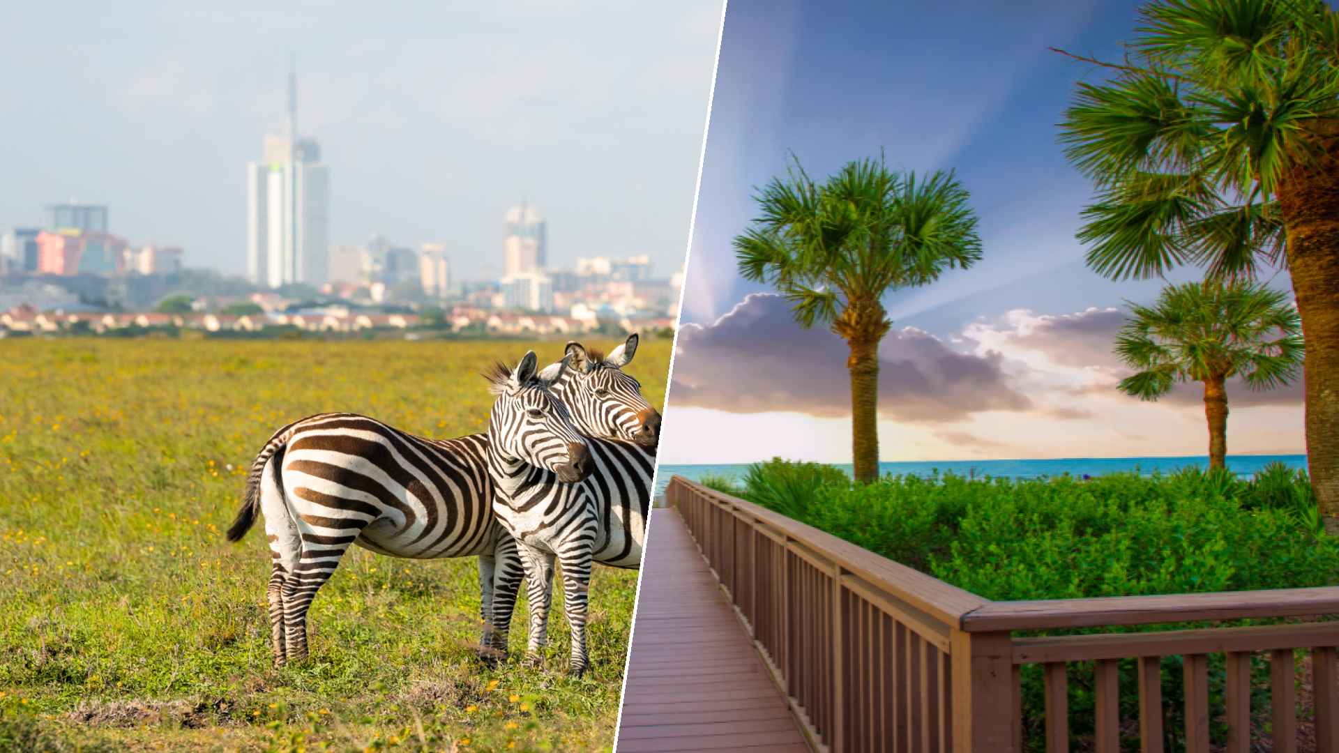 Nairobi to Hilton Head Island