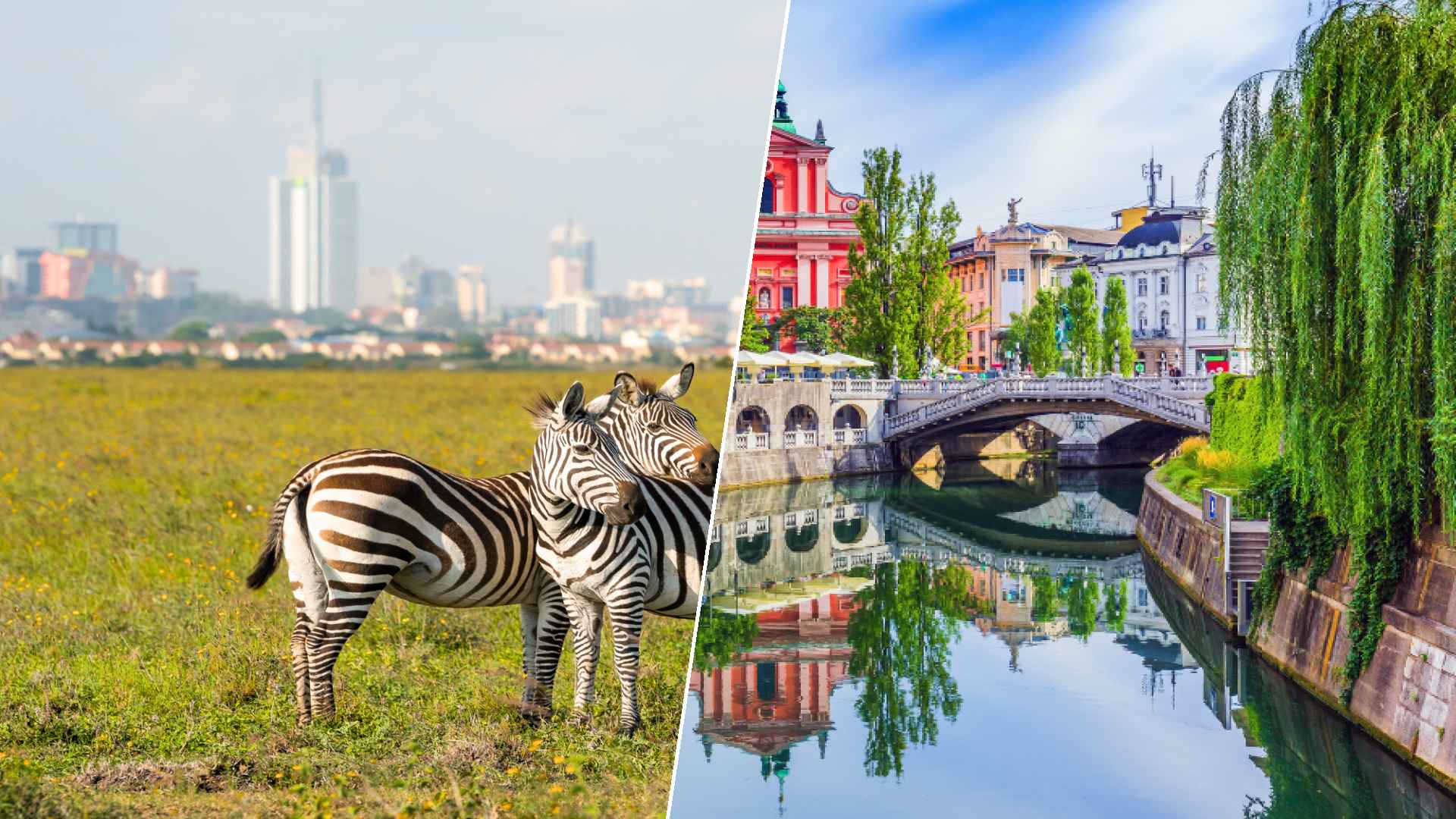 Nairobi to Ljubljana