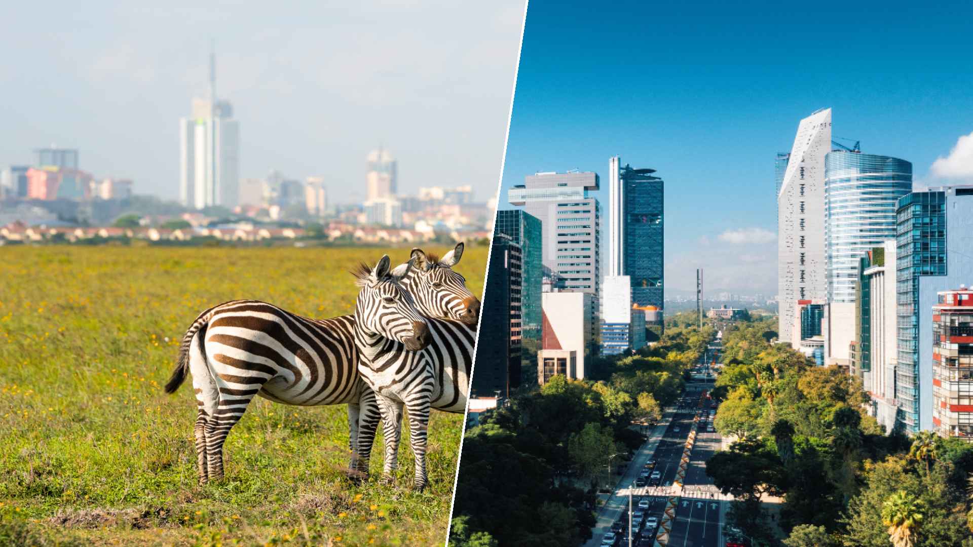 Nairobi to Mexico City