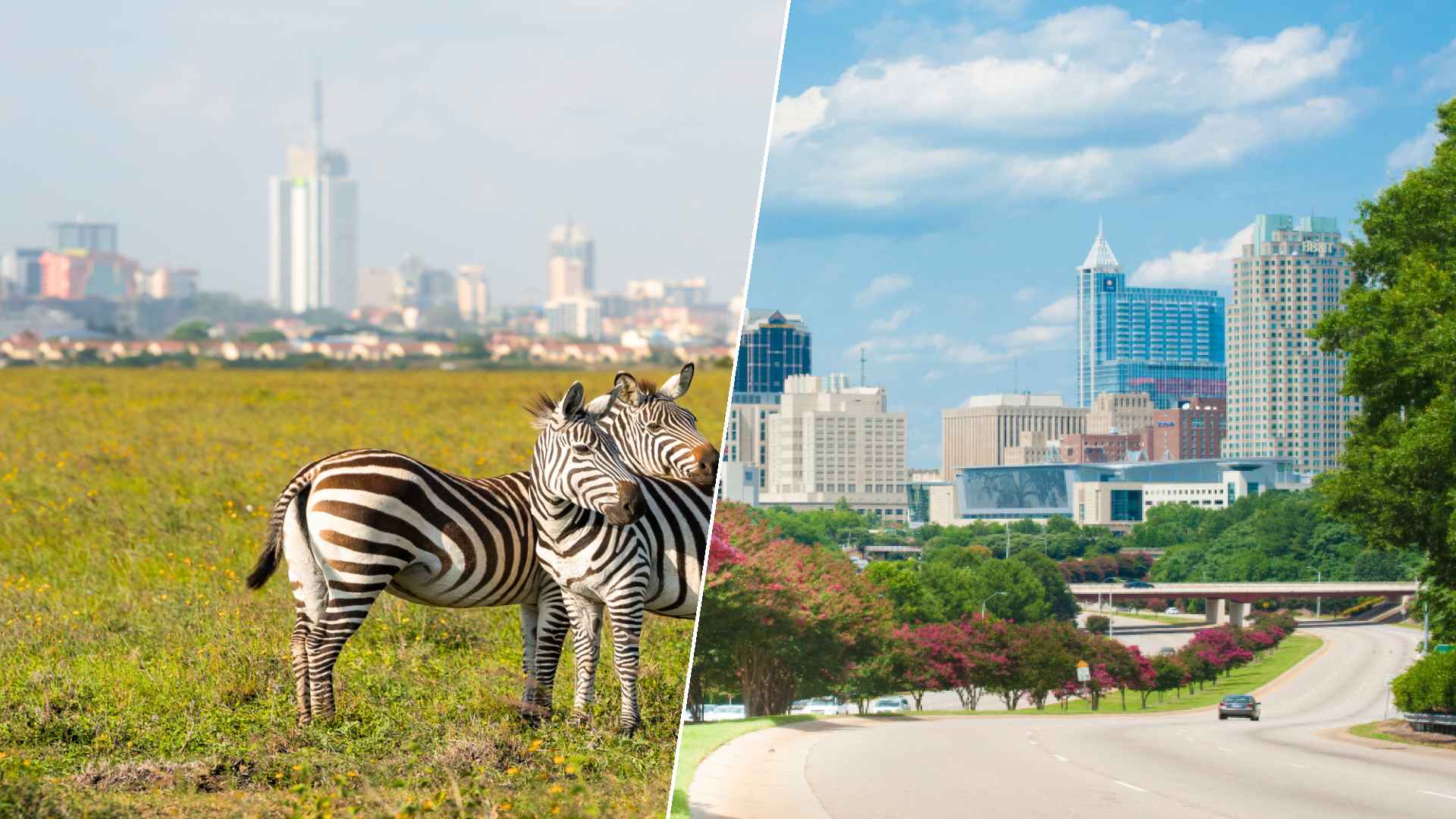 Nairobi to Raleigh