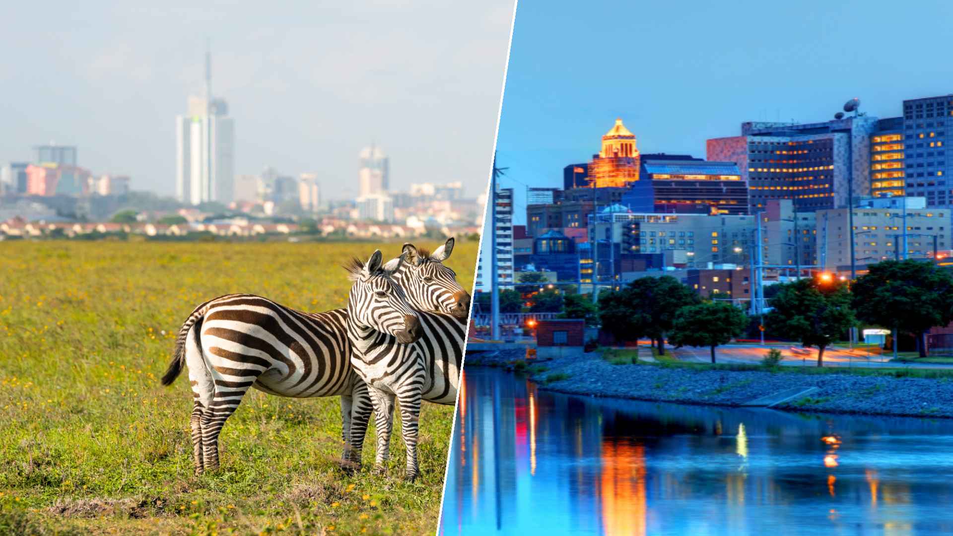 Nairobi to Rochester