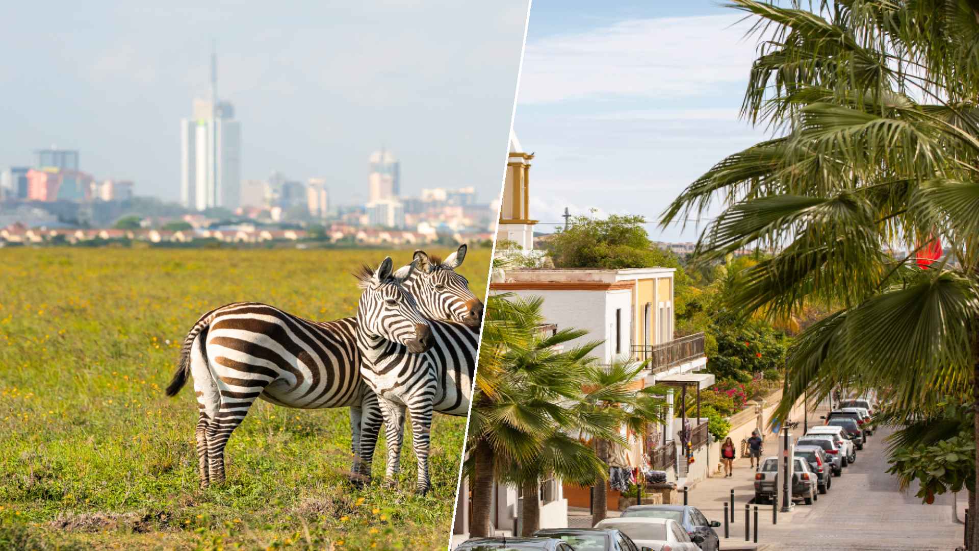 Nairobi to San José del Cabo