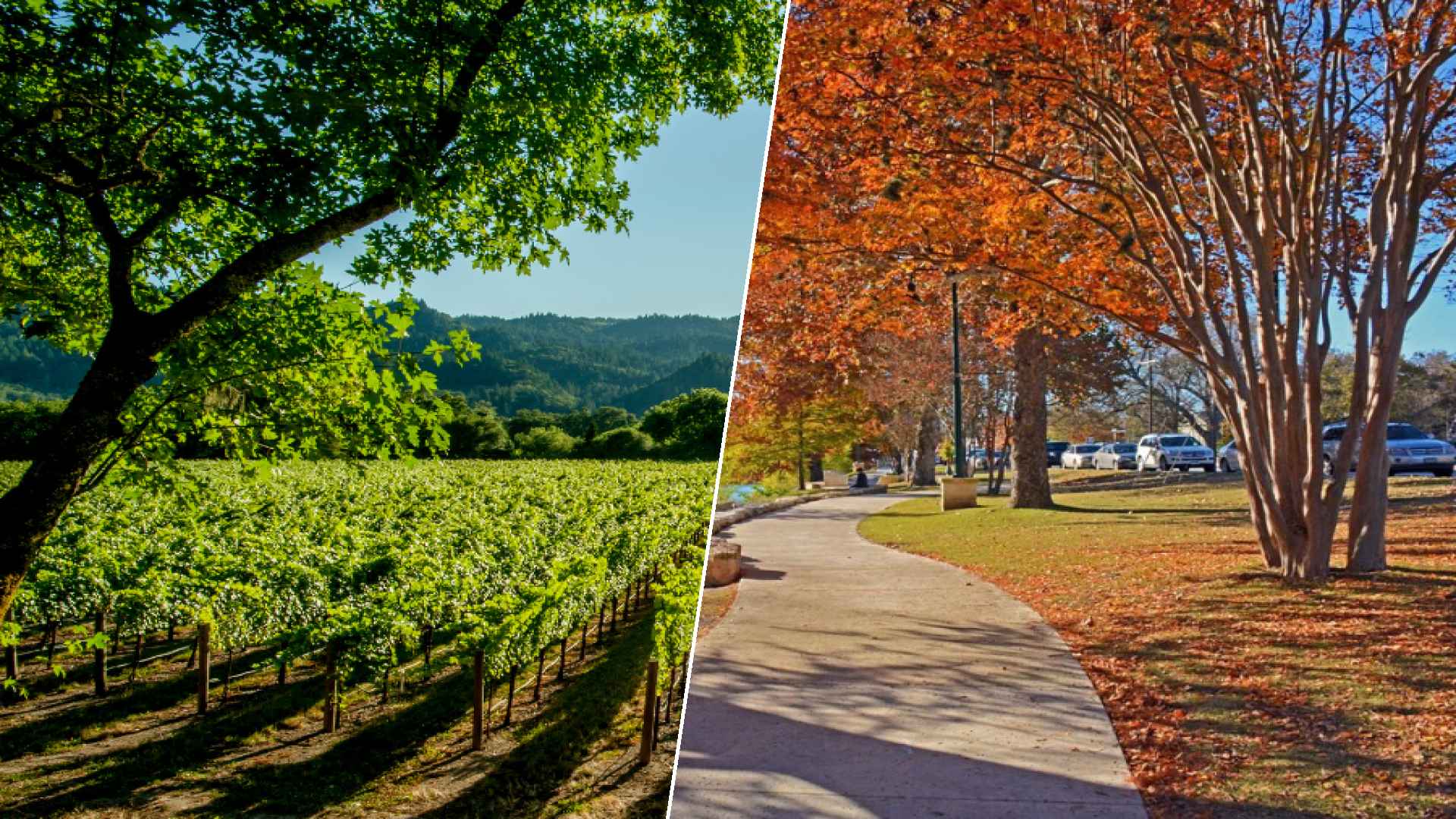 Napa to Boerne