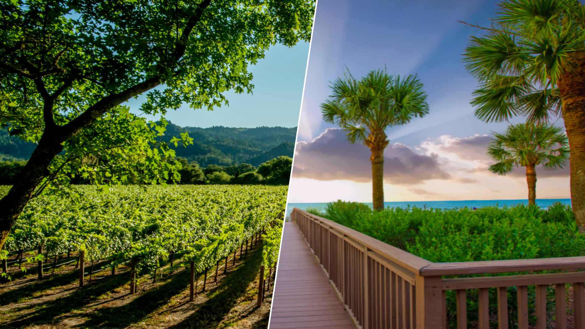 Napa to Hilton Head Island