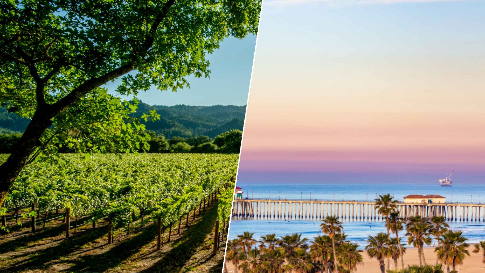 Napa to Huntington Beach