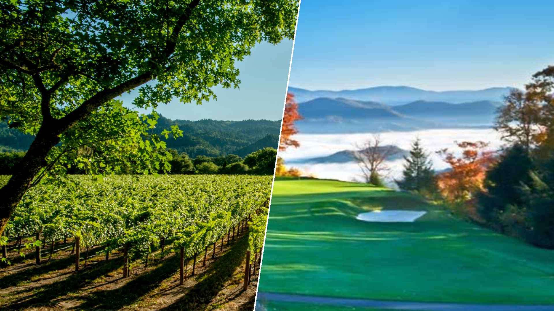 Napa to Mountain Air Country Club