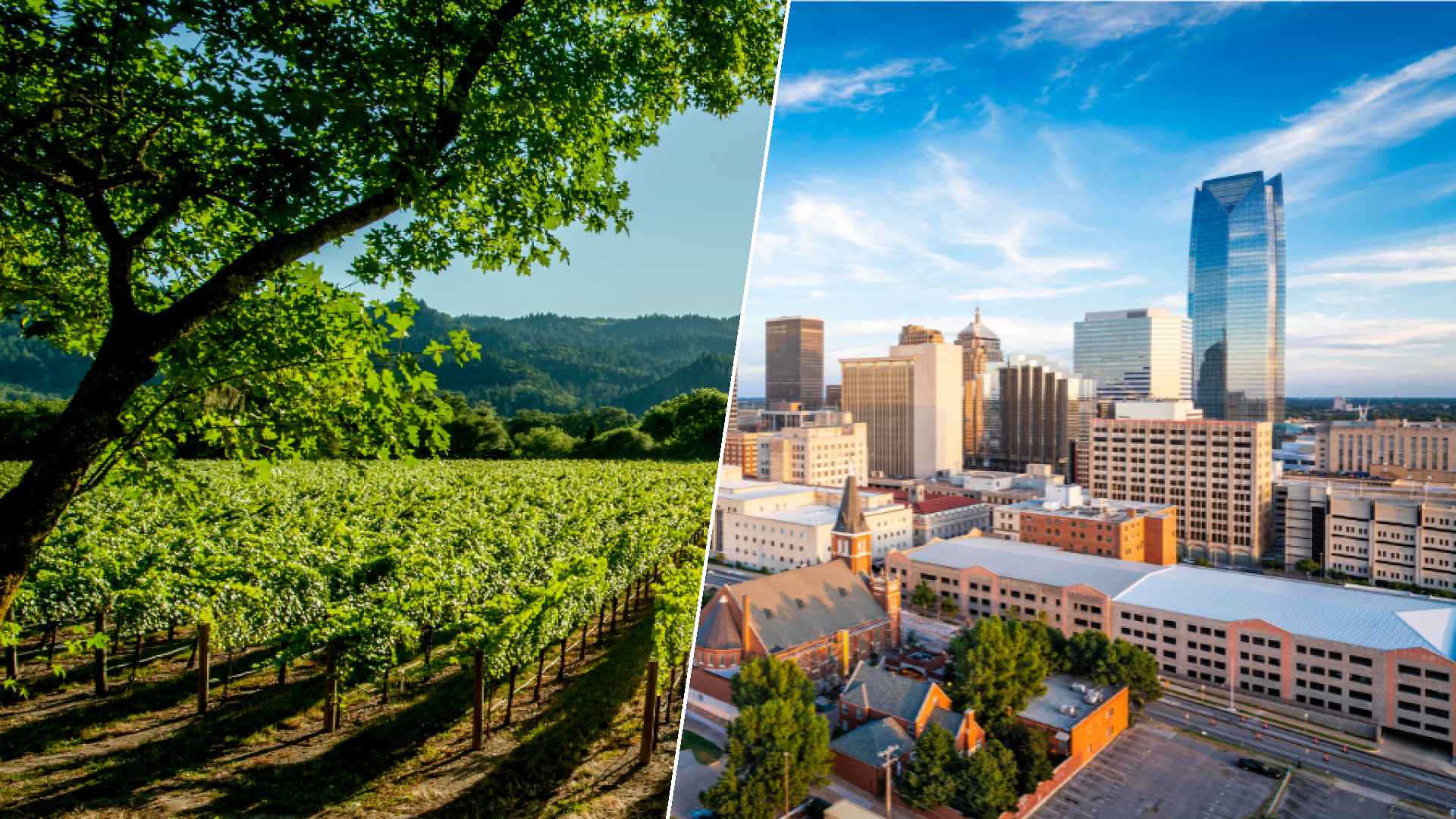 Napa to Oklahoma City