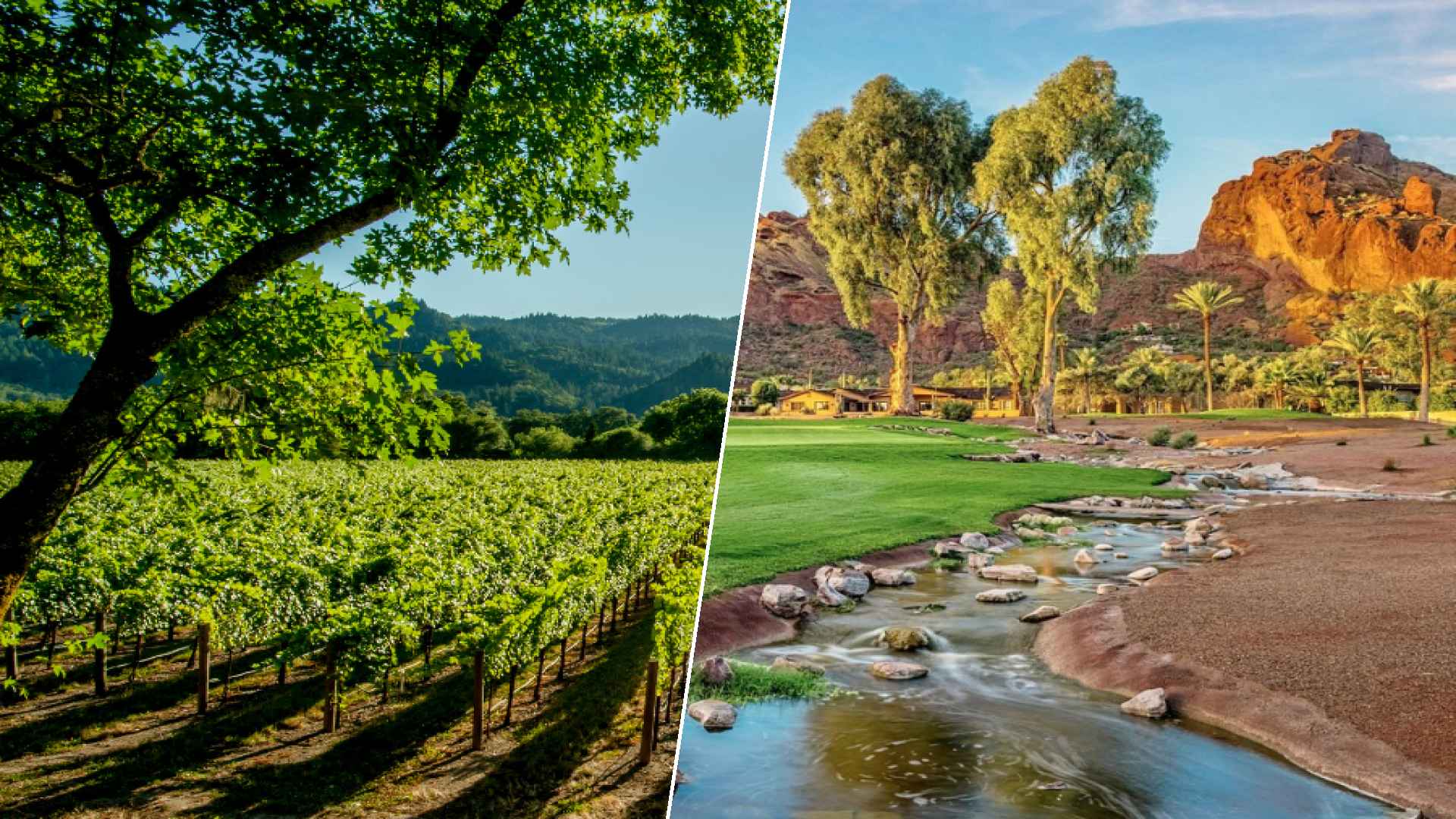 Napa to Paradise Valley