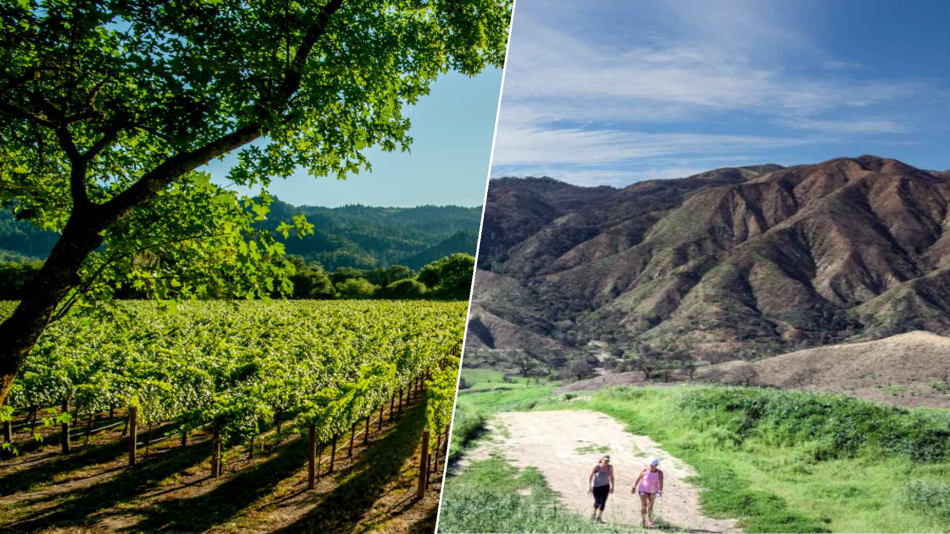 Napa to Santa Clarita