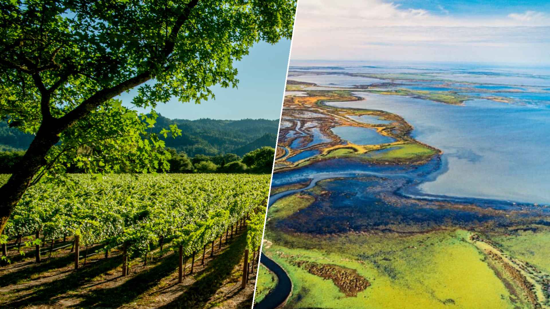 Napa to Wood Buffalo