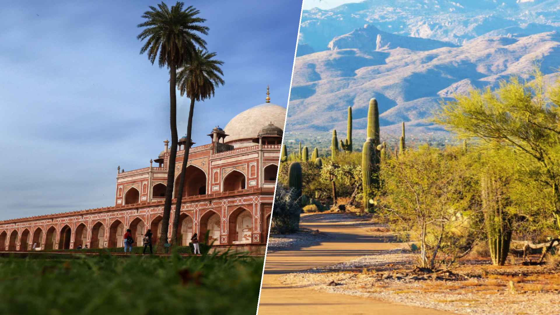 New Dehli to Glendale