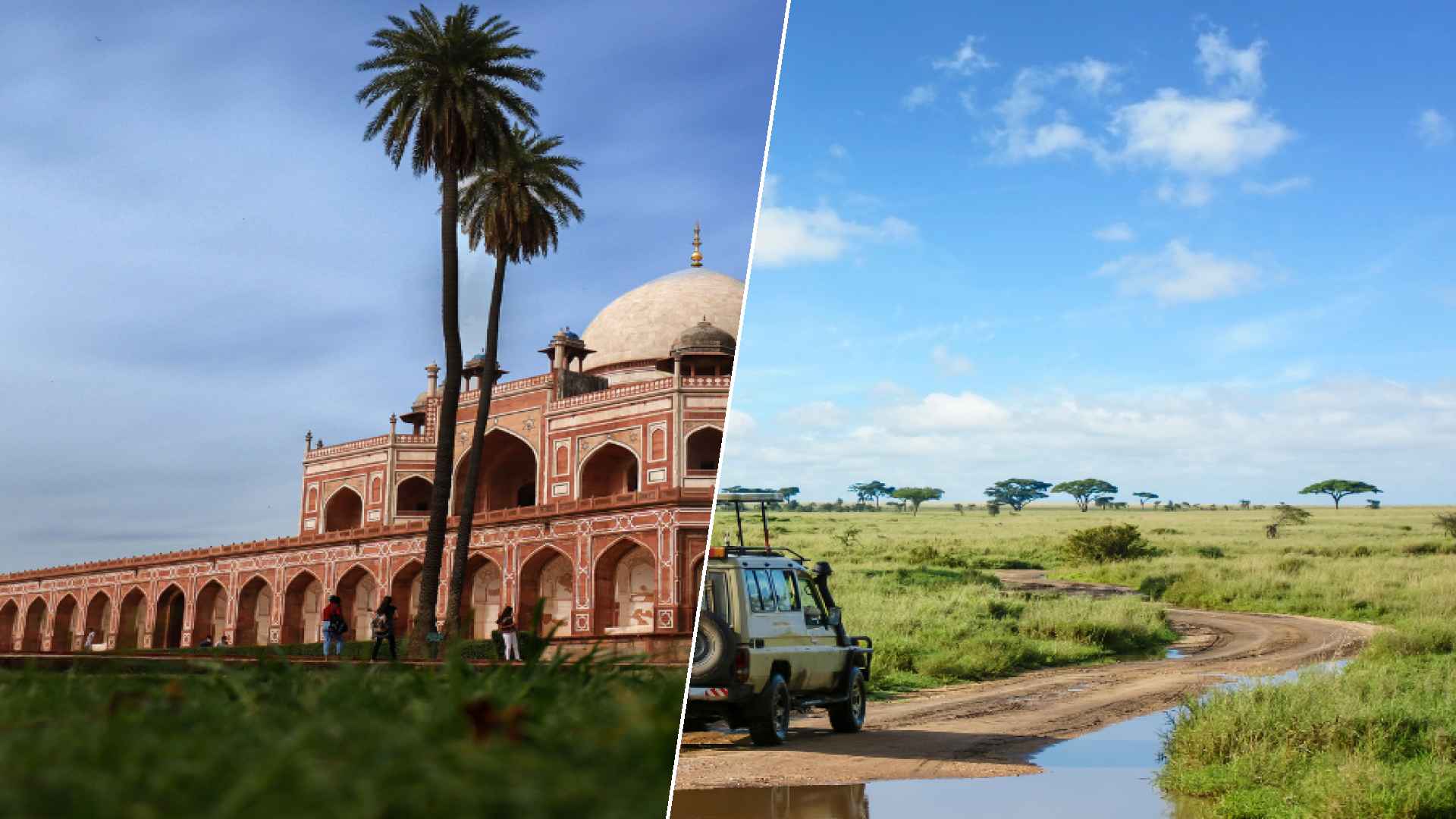 New Dehli to Serengeti