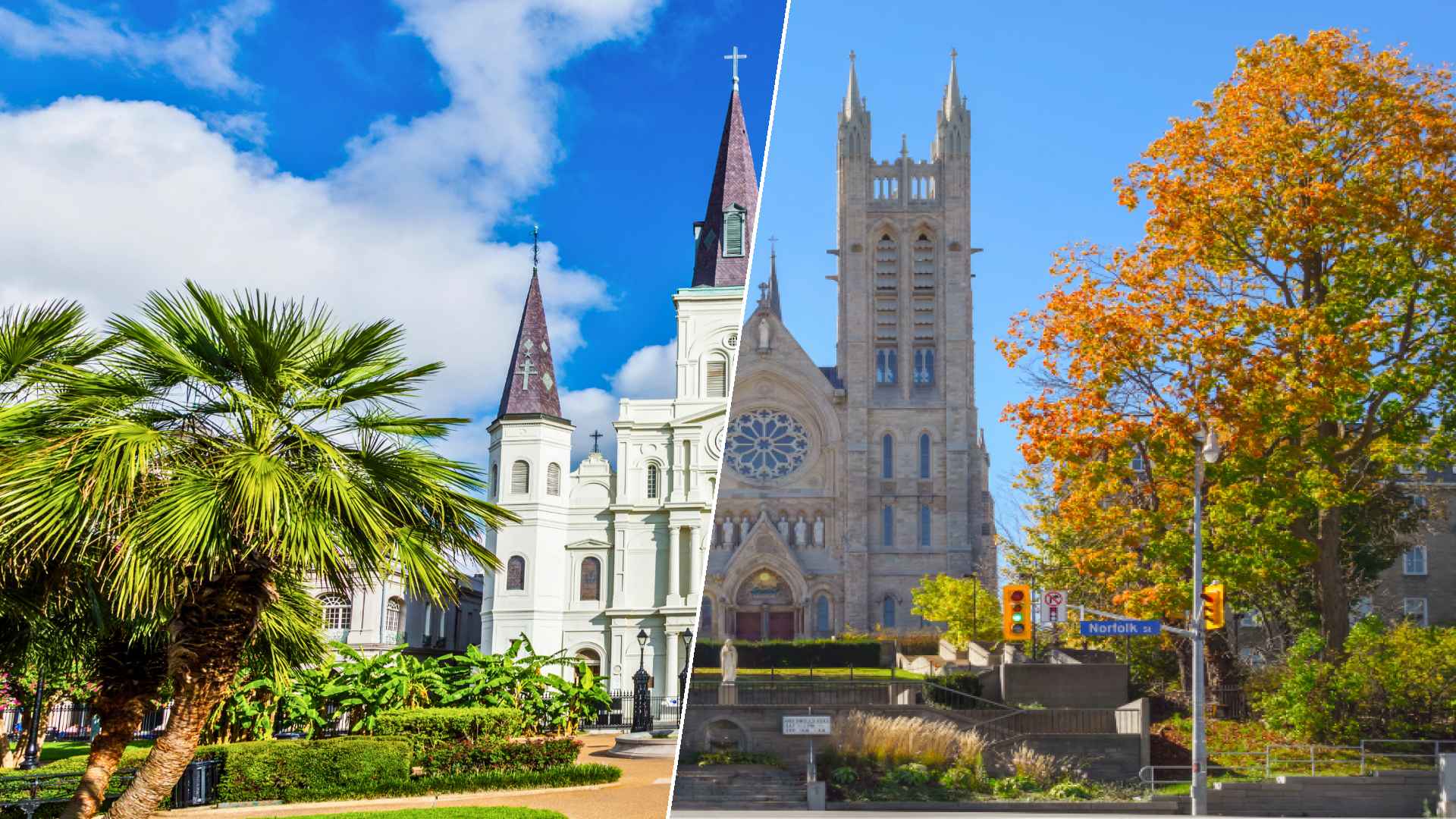 New Orleans to Guelph