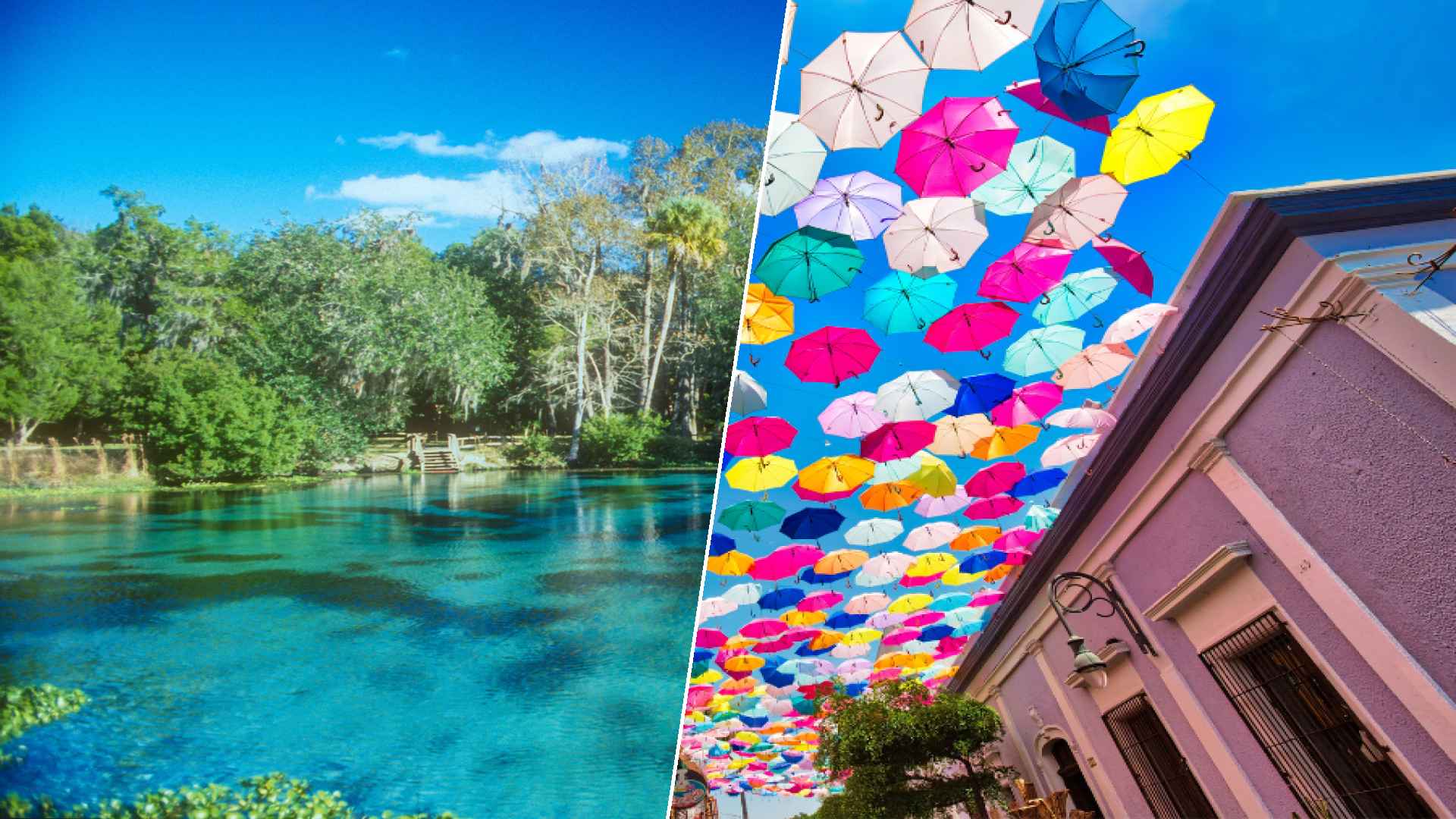 Ocala to Guadalajara