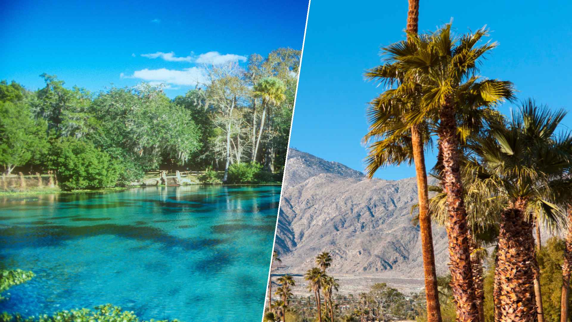 Ocala to Palm Springs