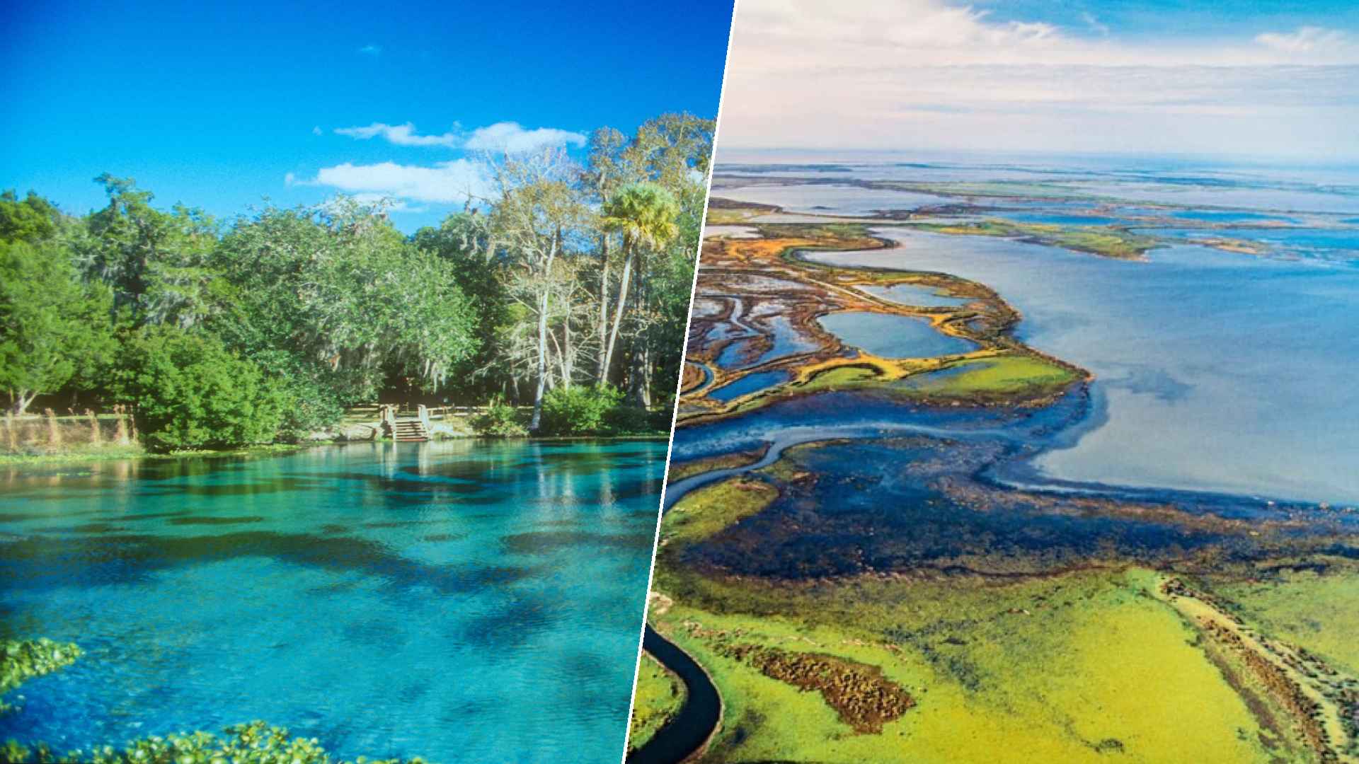 Ocala to Wood Buffalo